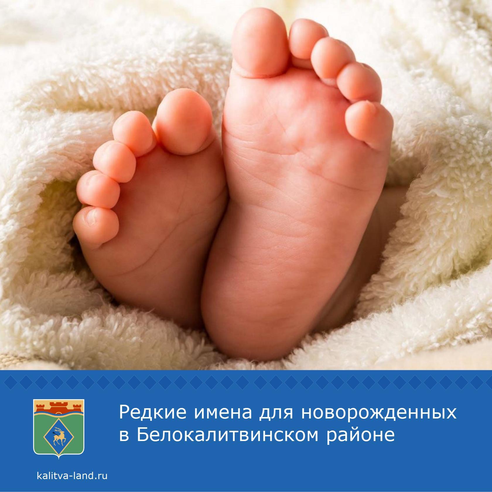 ✨Сотрудники отдела ЗАГС администрации Белокалитвинского района рассказ...
