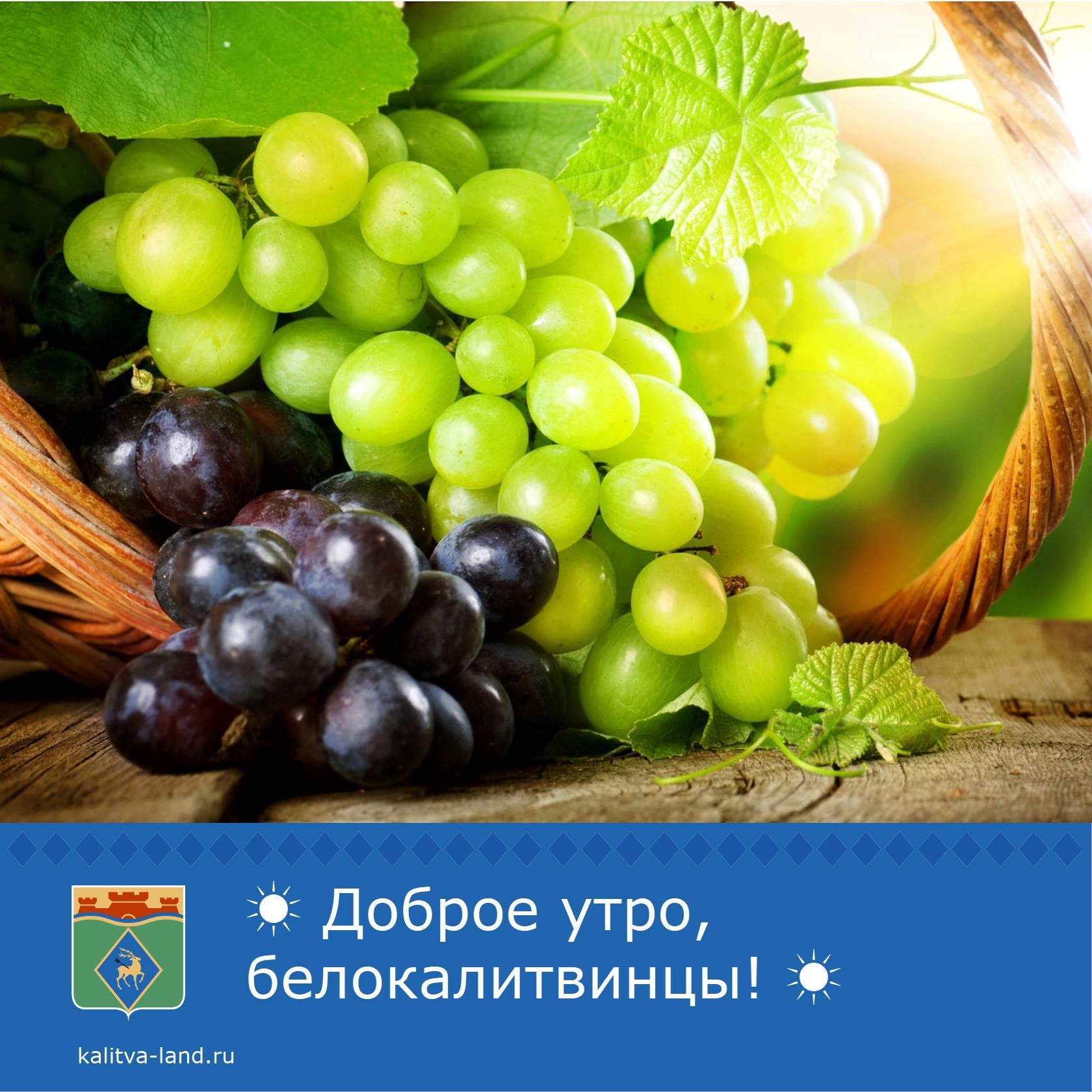 ☀️ Доброе утро, белокалитвинцы!