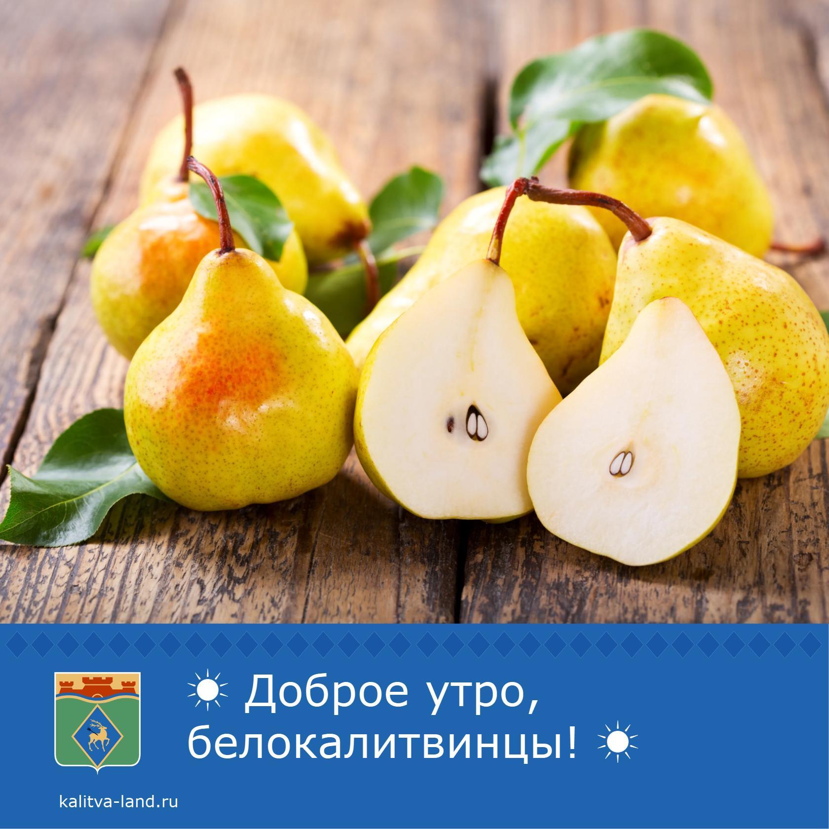 ☀️ Доброе утро, белокалитвинцы!