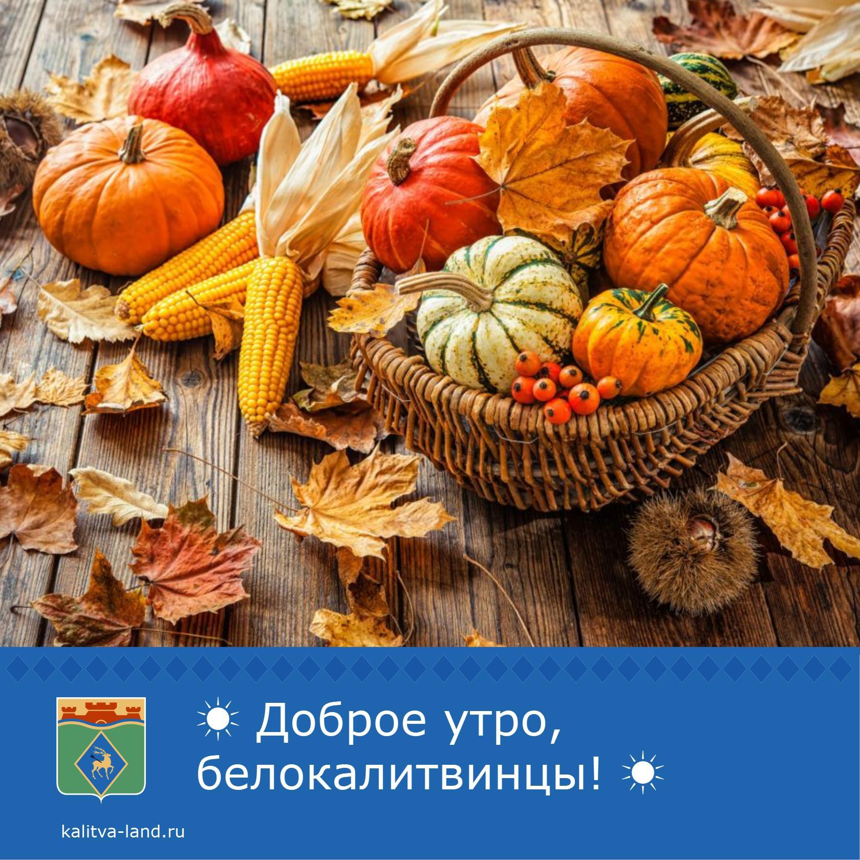 ☁️ Доброе утро, белокалитвинцы!