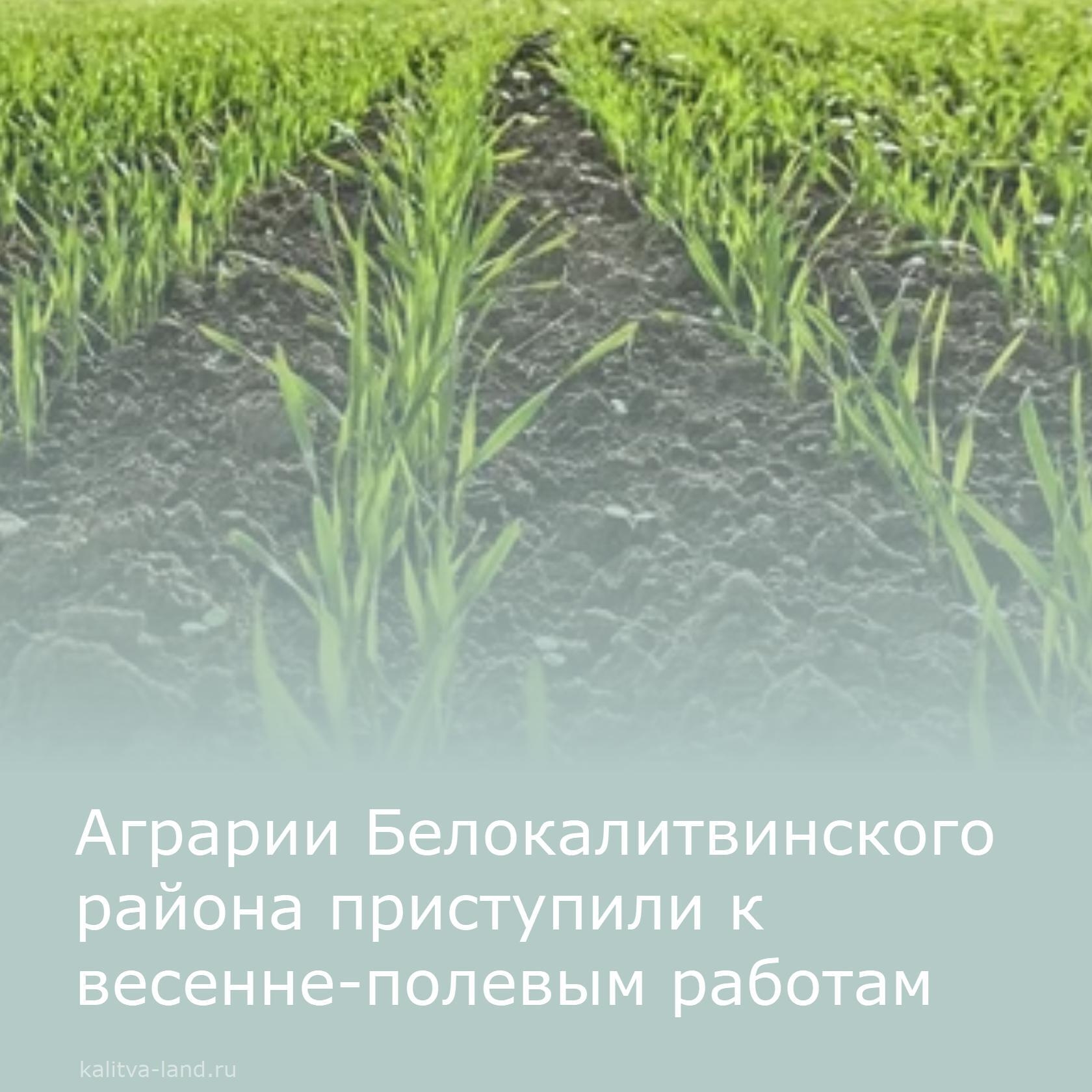  На сегодняшний день аграрии нашего района выполнили подкормку озимой ...