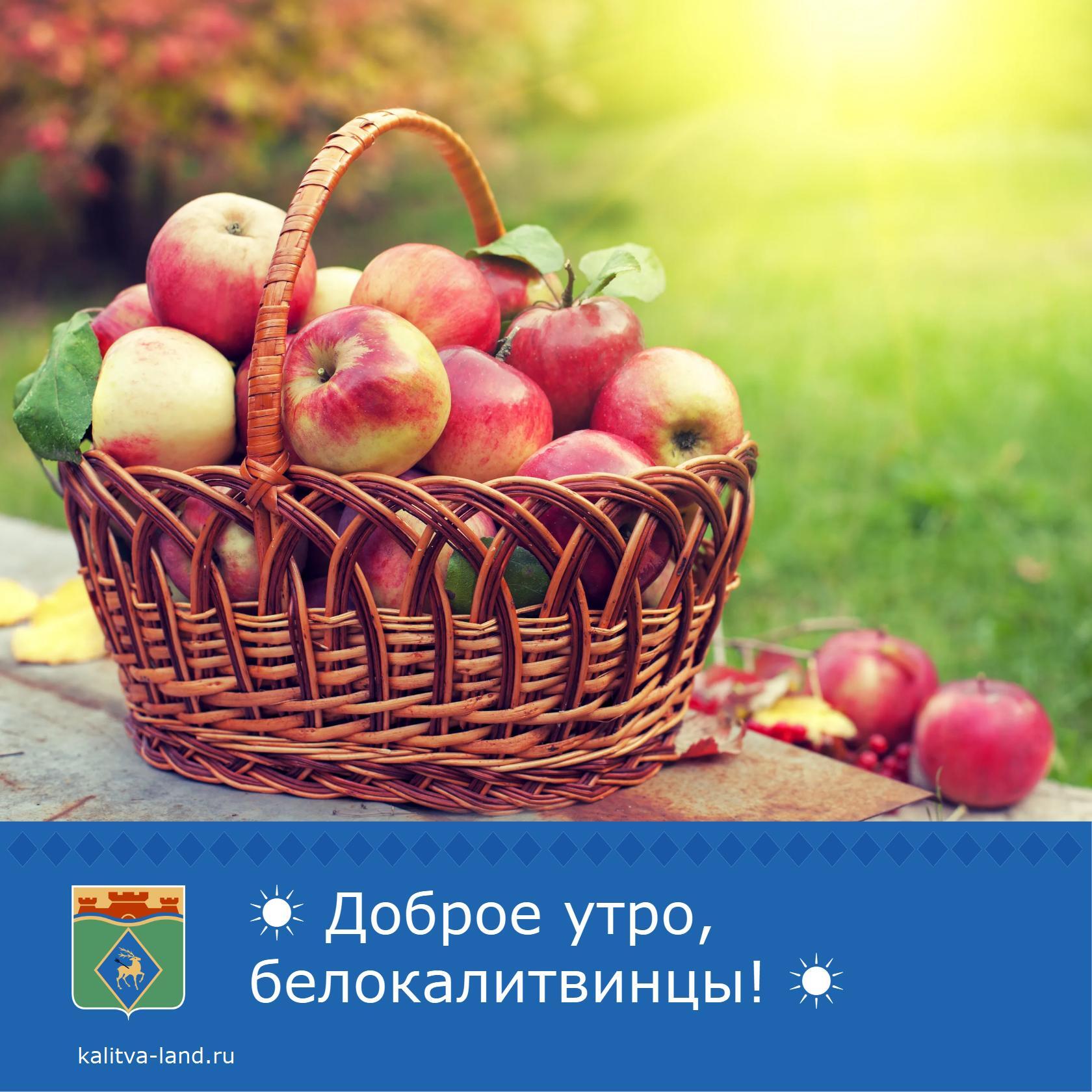  Доброе утро, белокалитвинцы!
