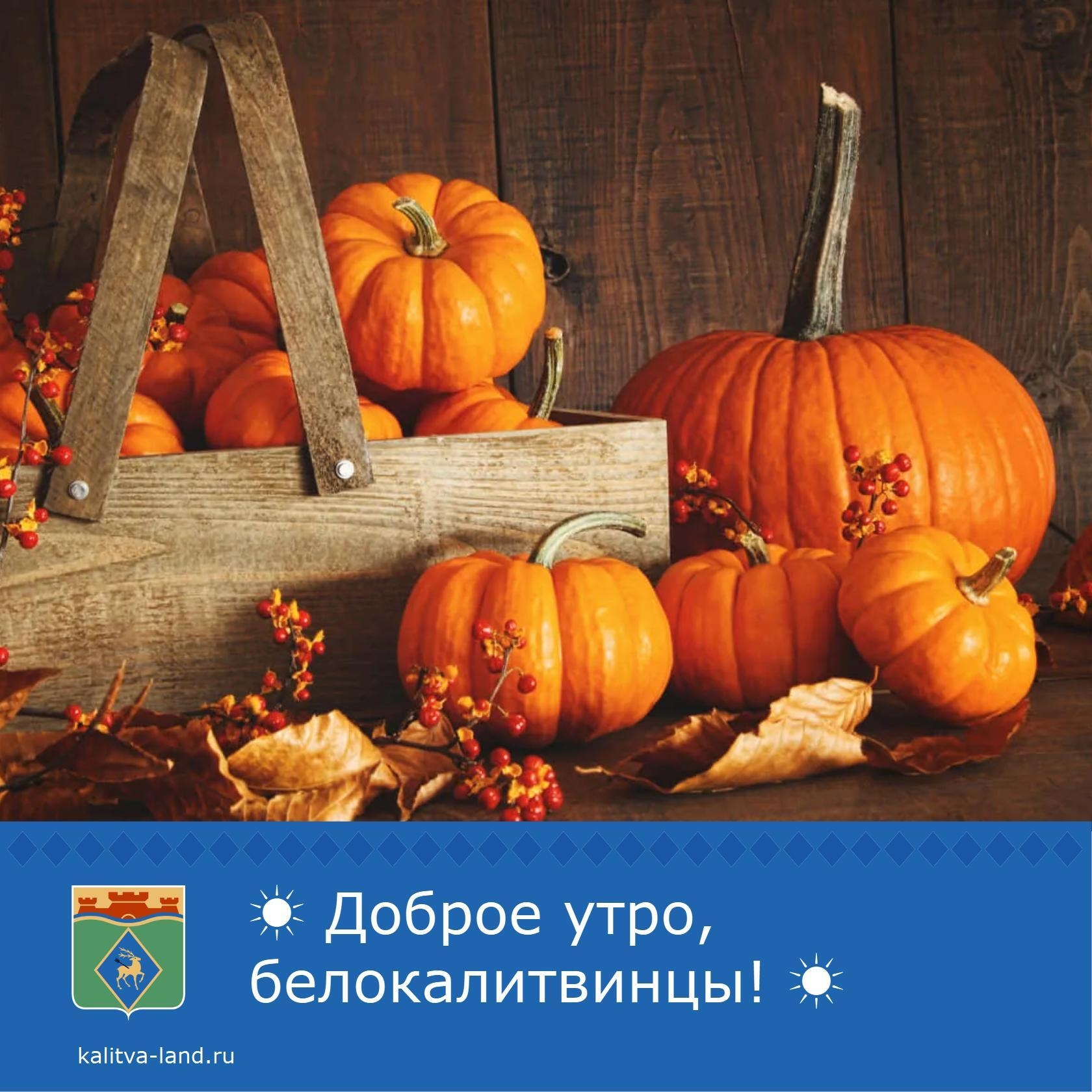 ☁️ Доброе утро, белокалитвинцы!