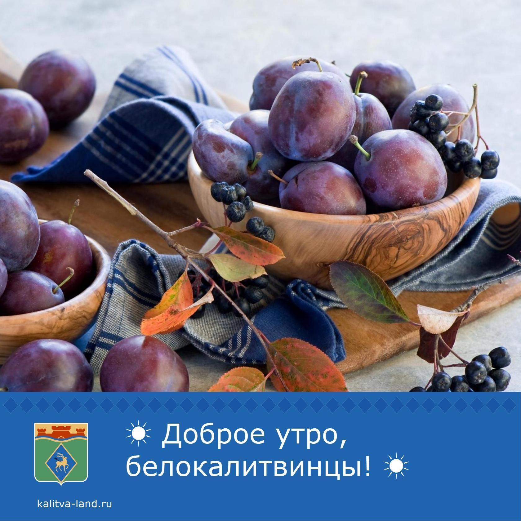 ☀️ Доброе утро, белокалитвинцы!