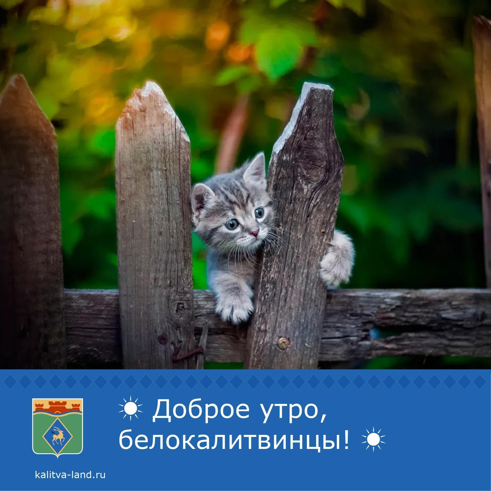 ☀️ Доброе утро, белокалитвинцы!