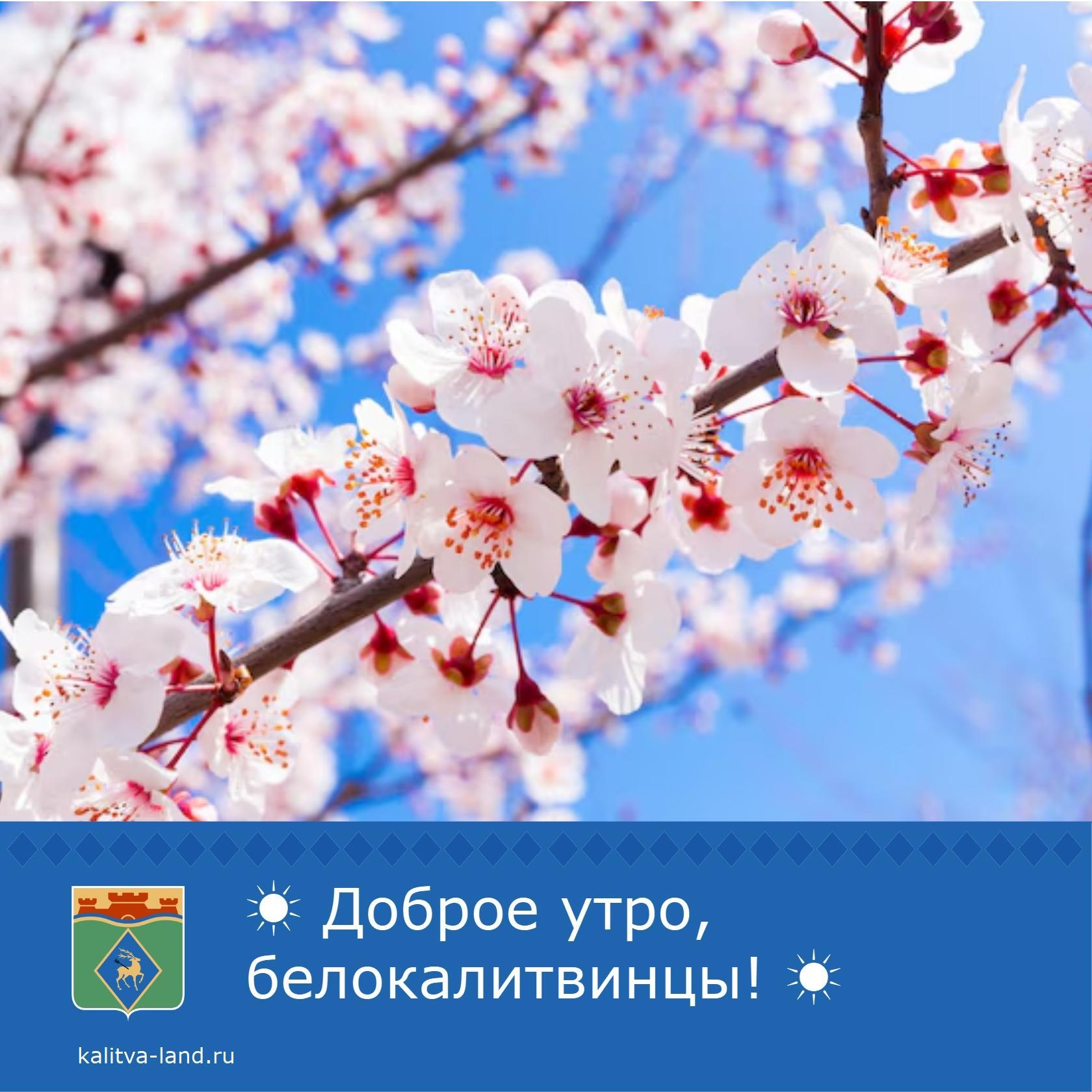 ☀️ Доброе утро, белокалитвинцы!