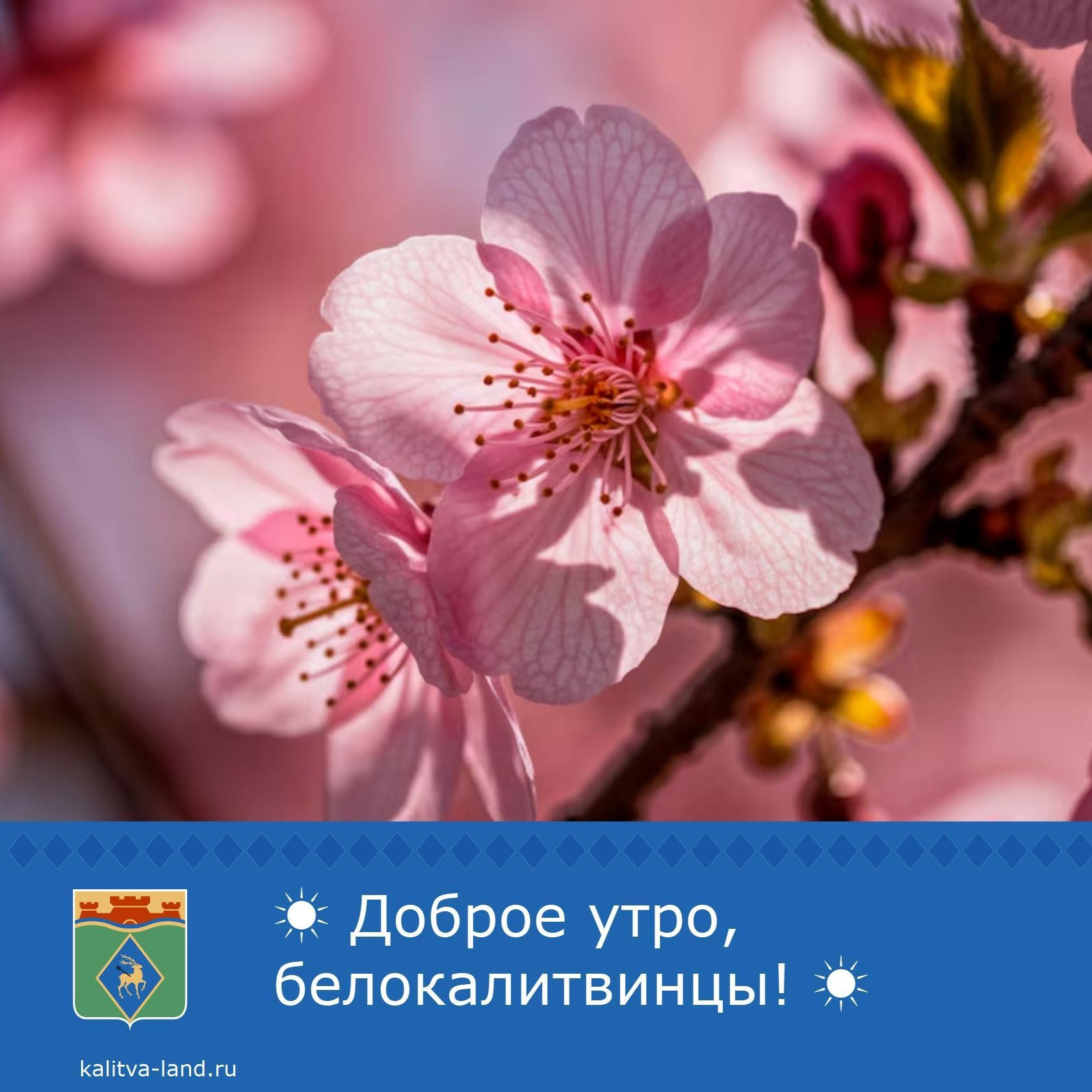 Доброе утро, белокалитвинцы! 