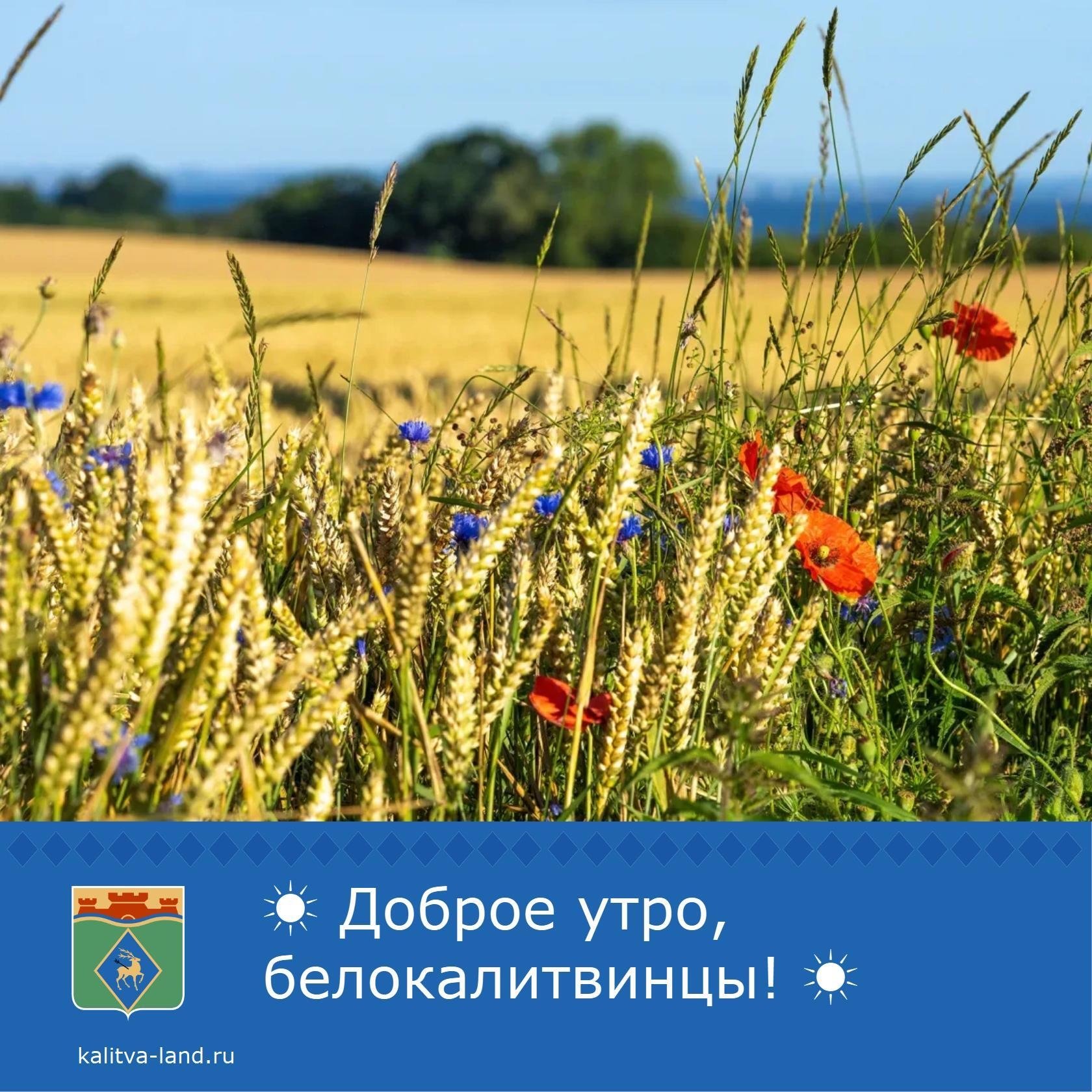 ☀ Доброе утро, белокалитвинцы!