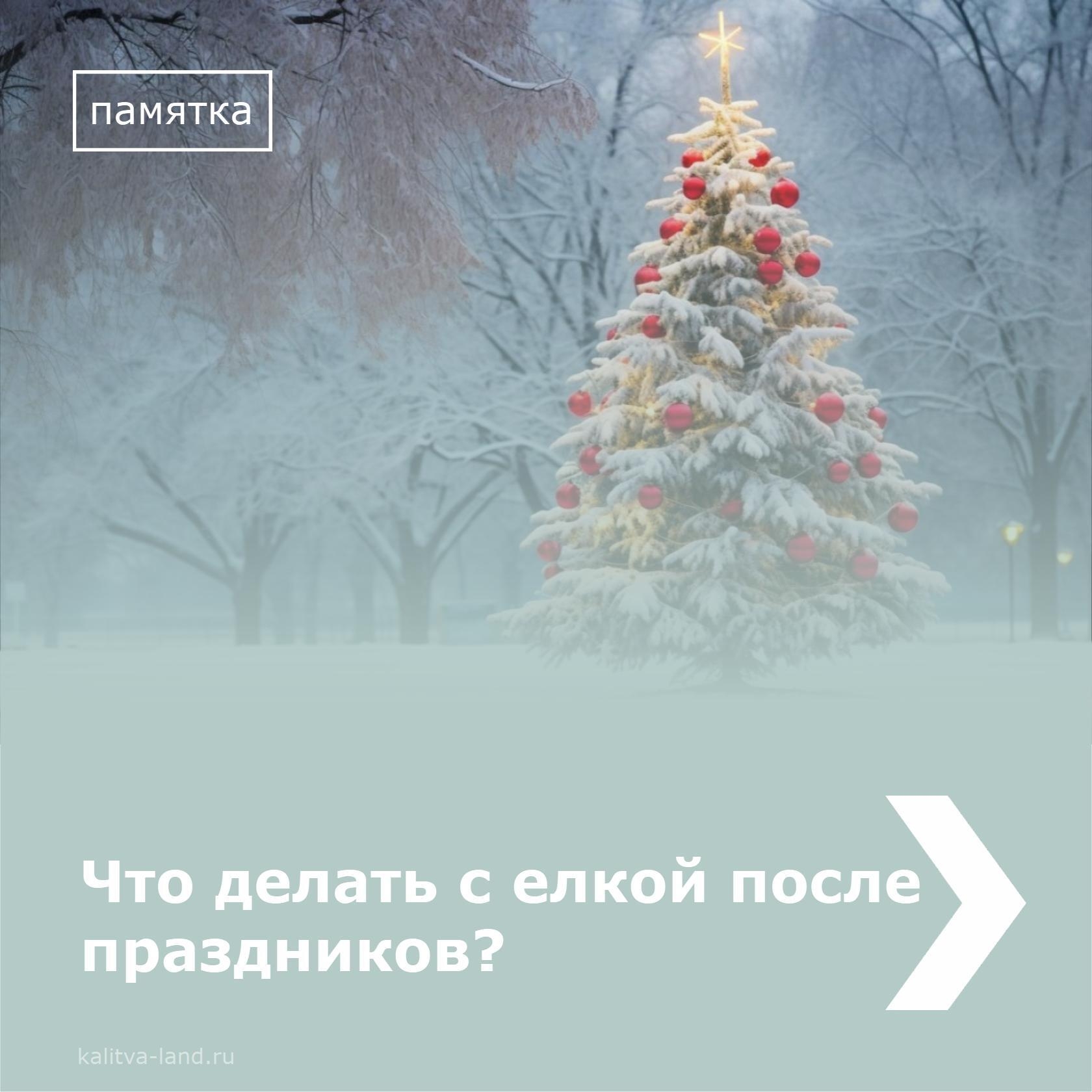  Читайте в карточках, что делать с елкой после Нового года и какие ест...