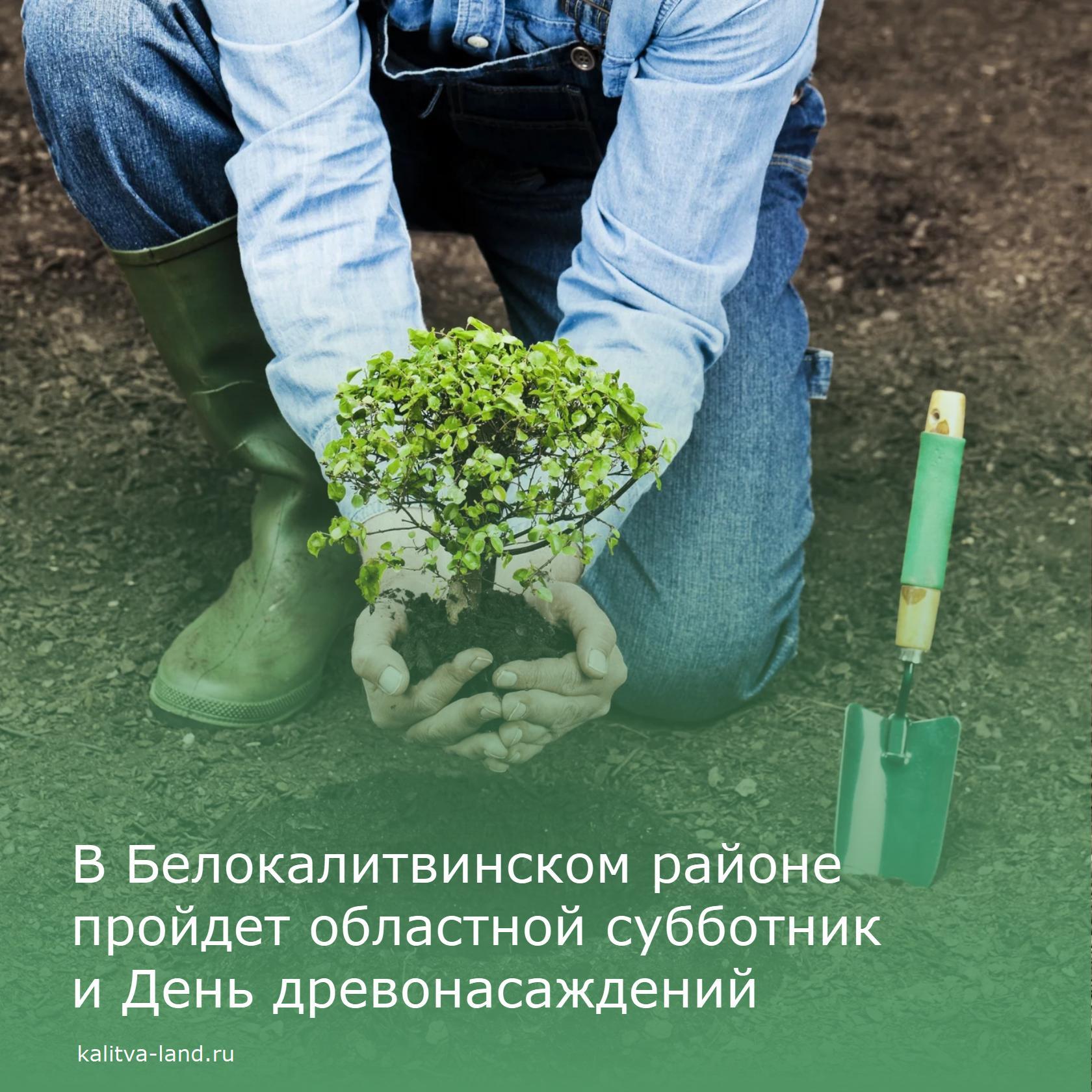  18 октября в Белокалитвинском районе состоится областной субботник и ...