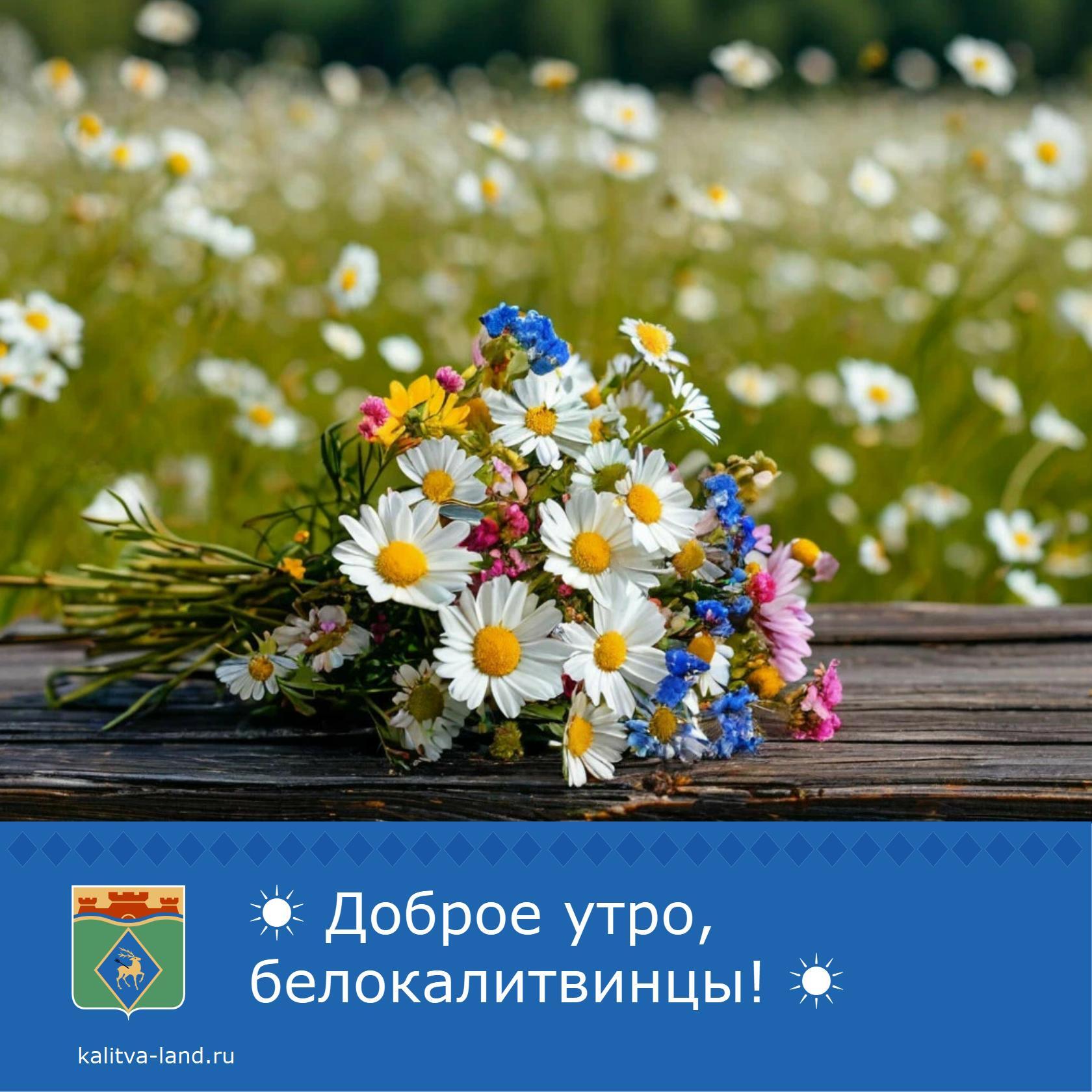 ☀️ Доброе утро, белокалитвинцы!