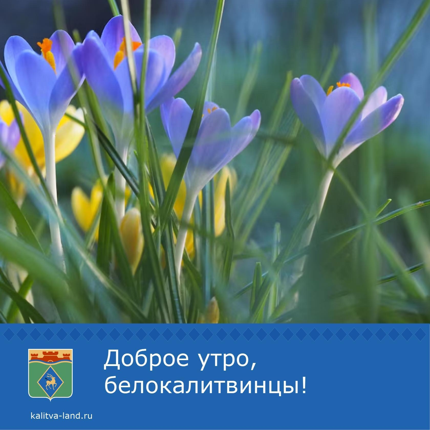 ☁️ Доброе утро, белокалитвинцы!