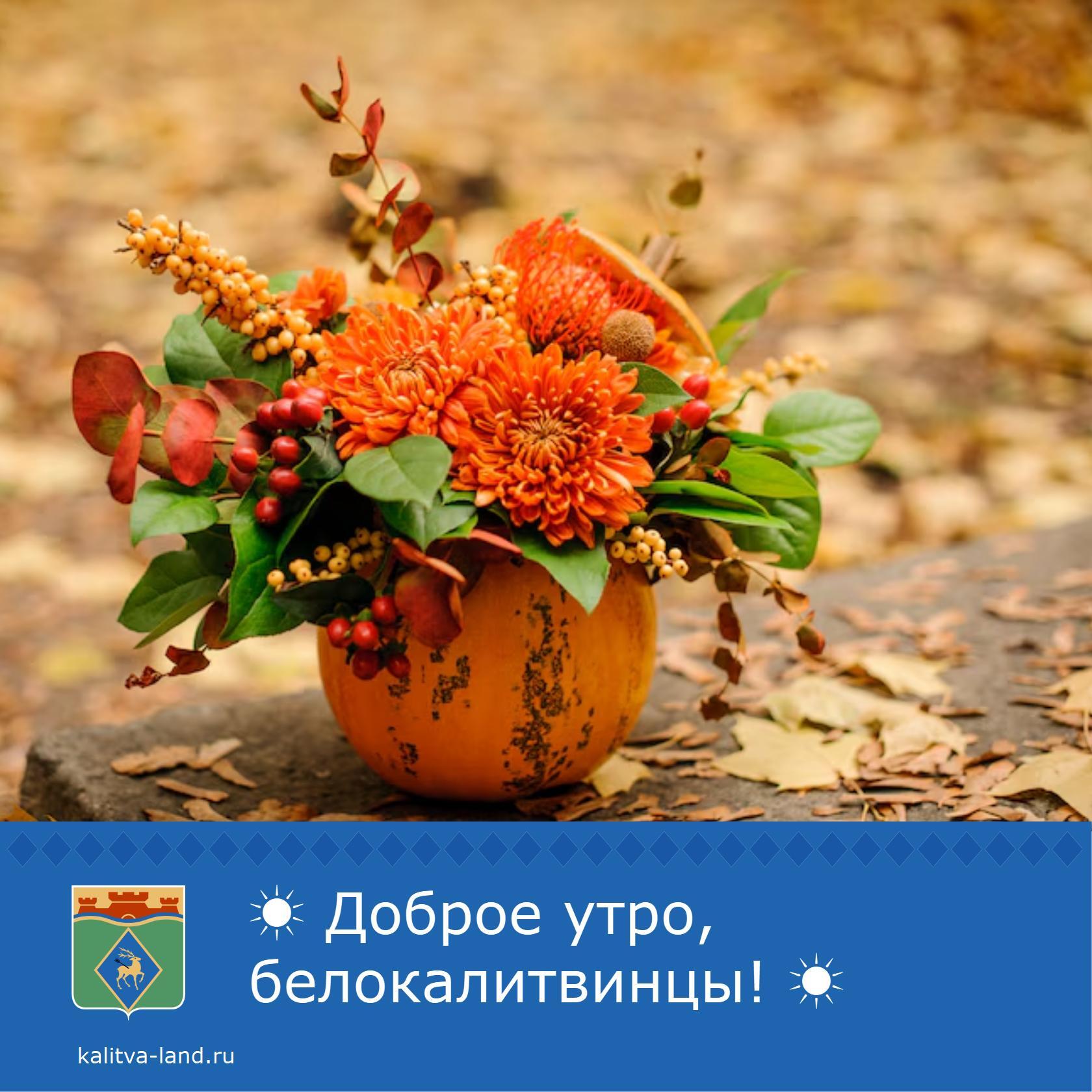 Доброе утро, белокалитвинцы!