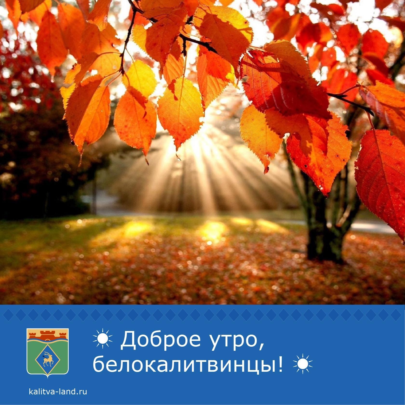 ☀️ Доброе утро, белокалитвинцы!