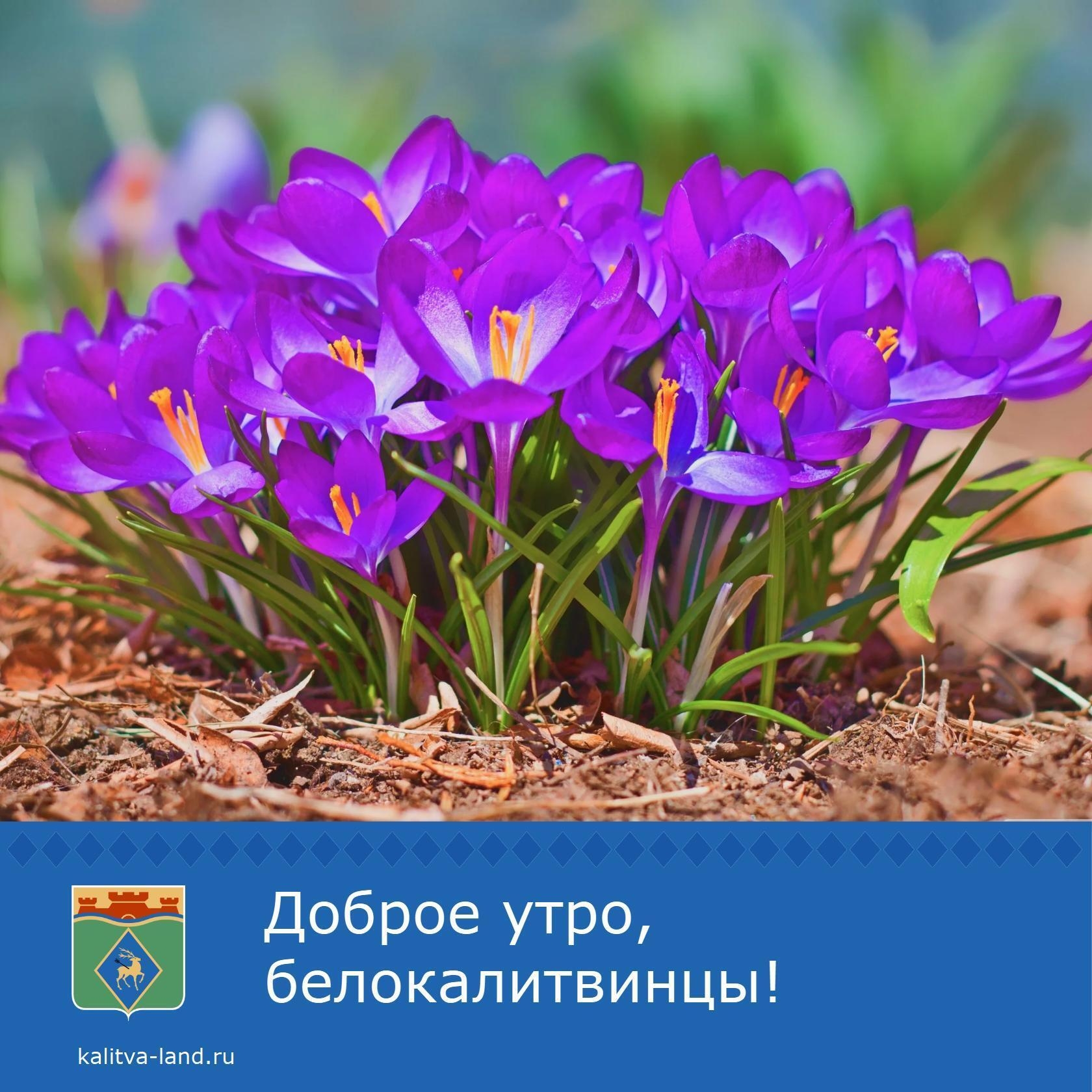  Доброе утро, белокалитвинцы!