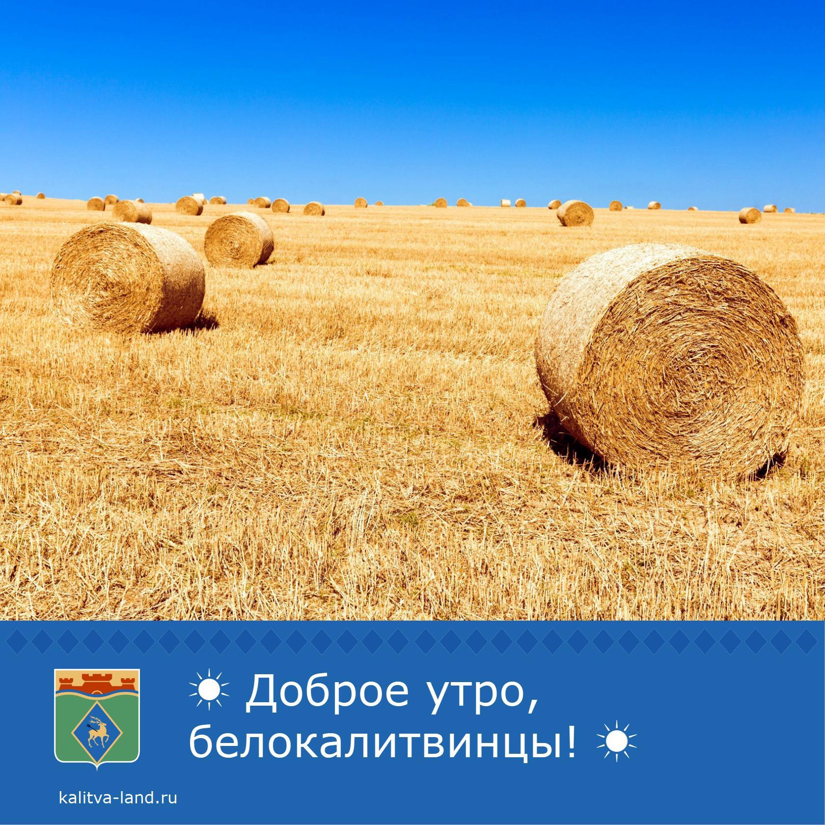  Доброе утро, белокалитвинцы!
