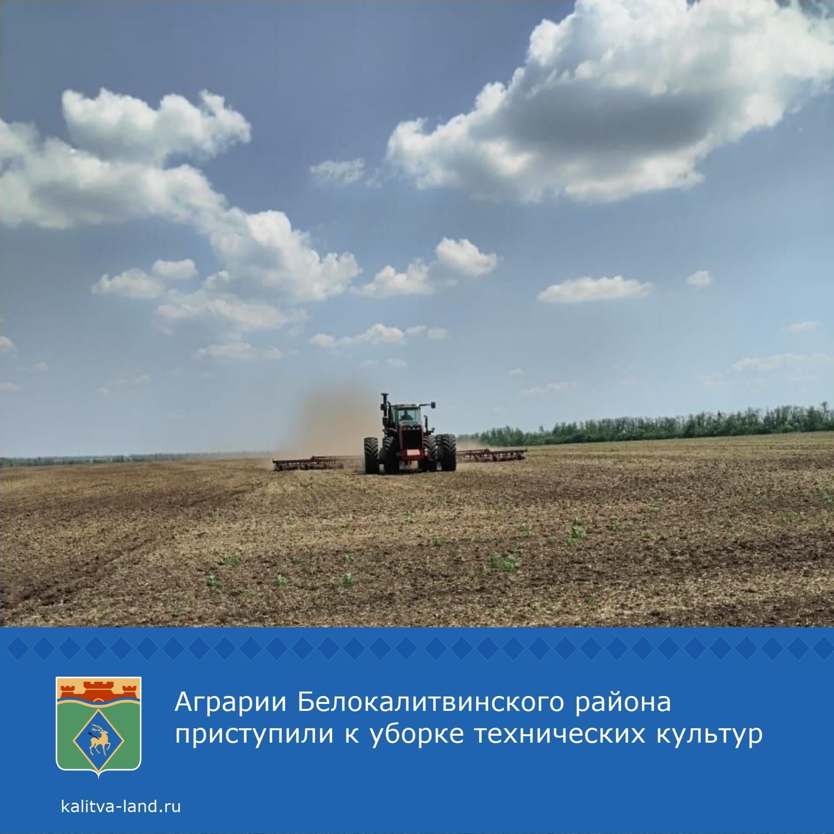 Сельхозтоваропроизводители нашего района уже приступили к уборке масл...