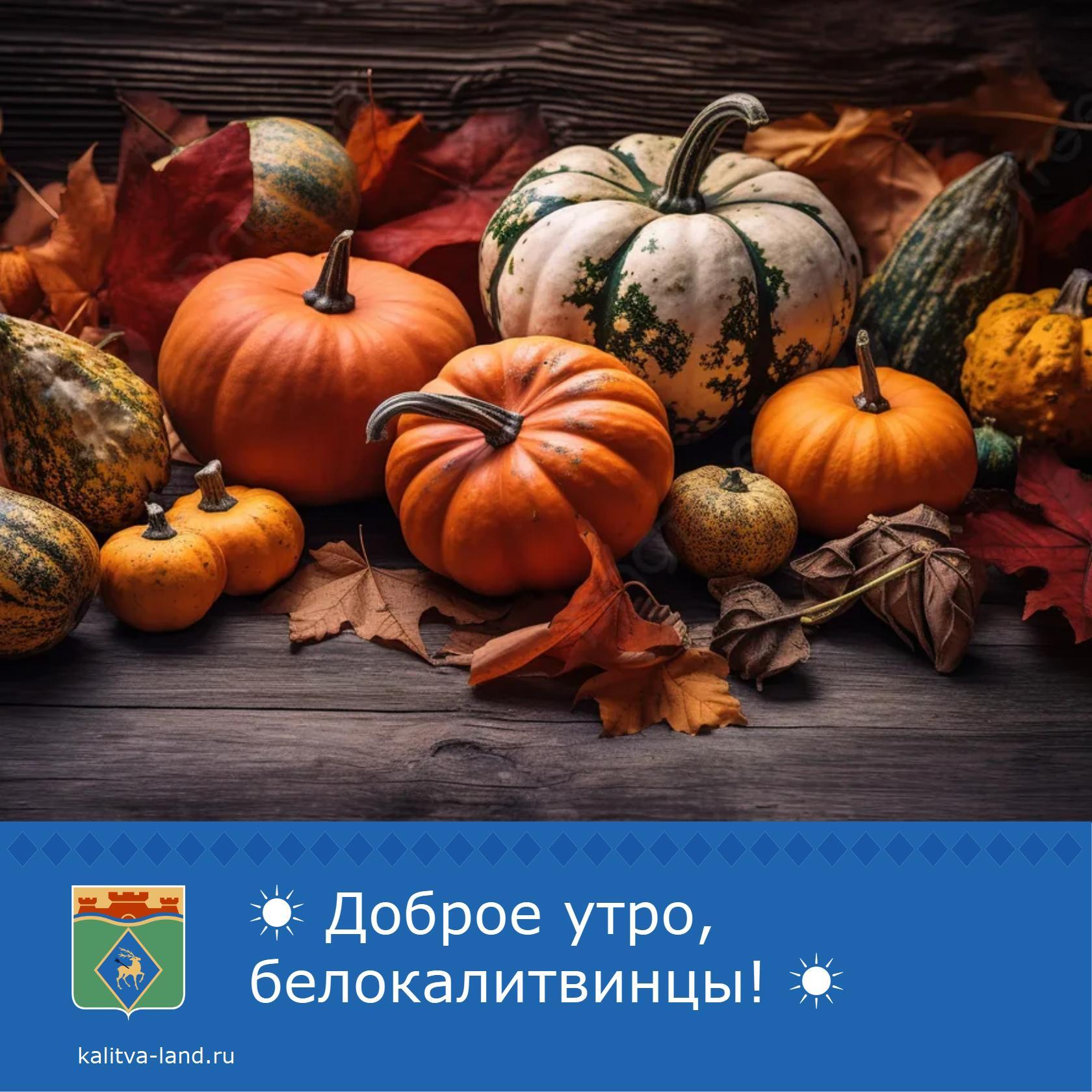  Доброе утро, белокалитвинцы!