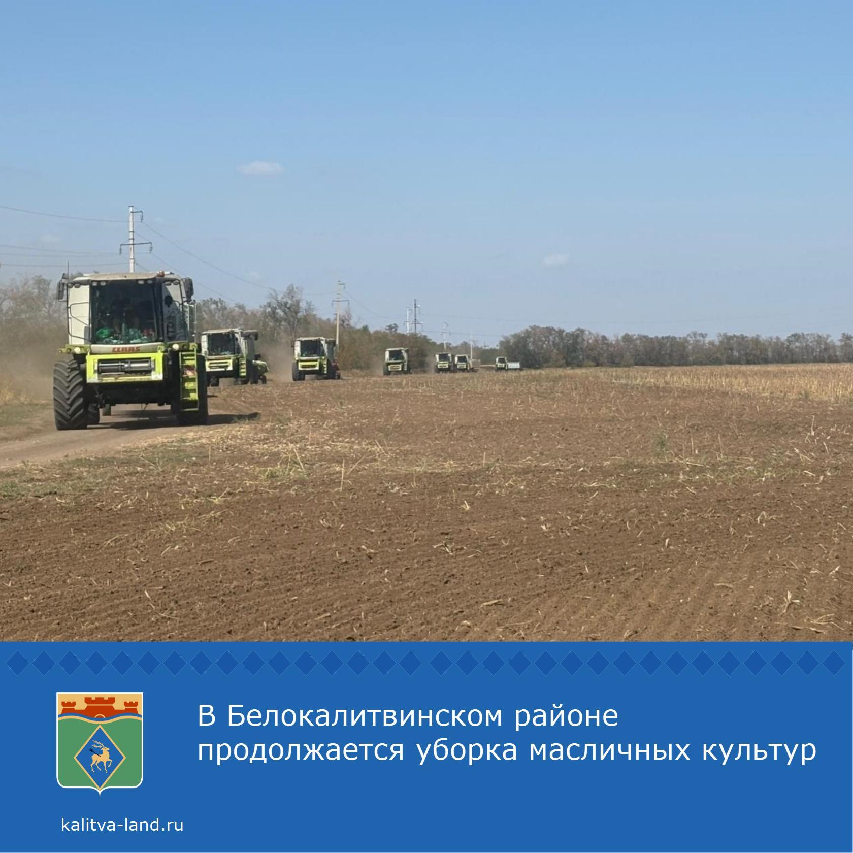  На сегодняшний день у нас в районе собрано около 2 тысяч тонн подсолн...