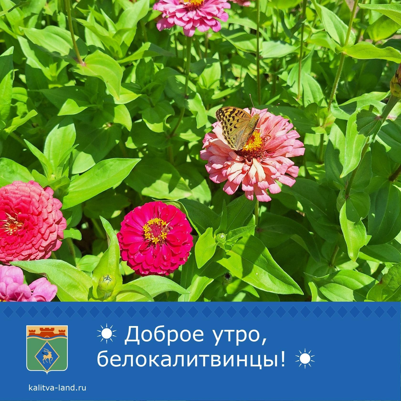  Доброе утро, белокалитвинцы!