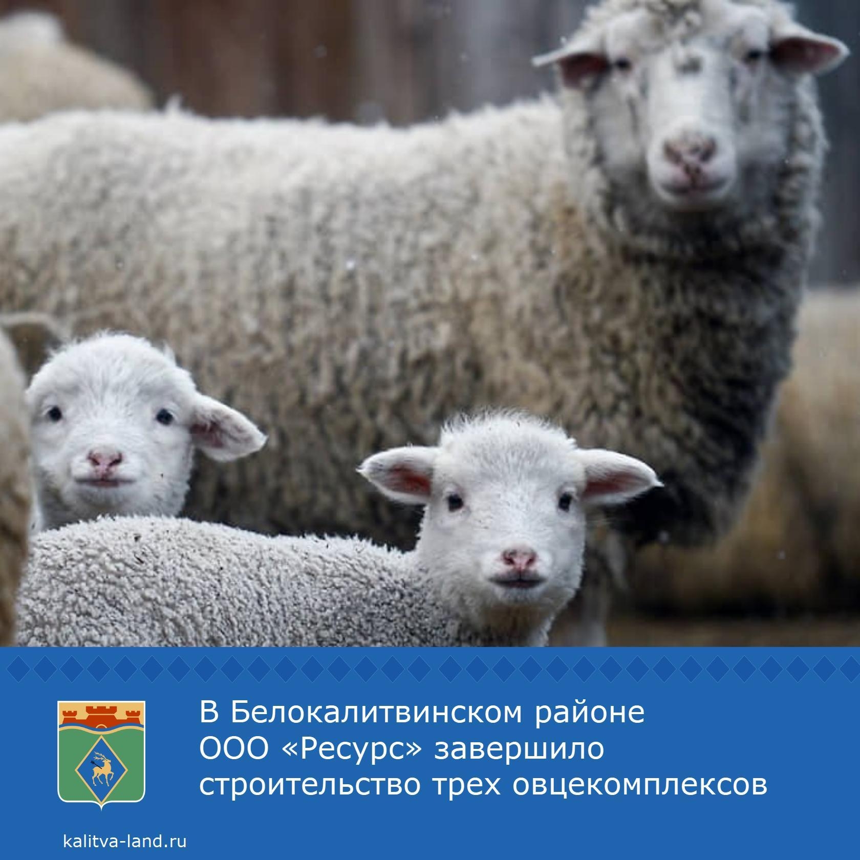 ❗️ Предприятие построило современный кластер по производству и перераб...