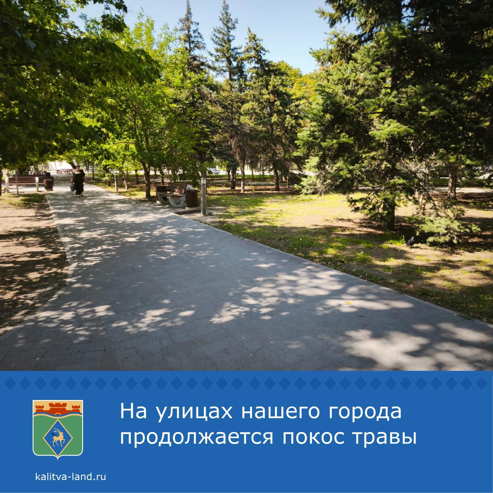  В скверах города завершили покос травы.