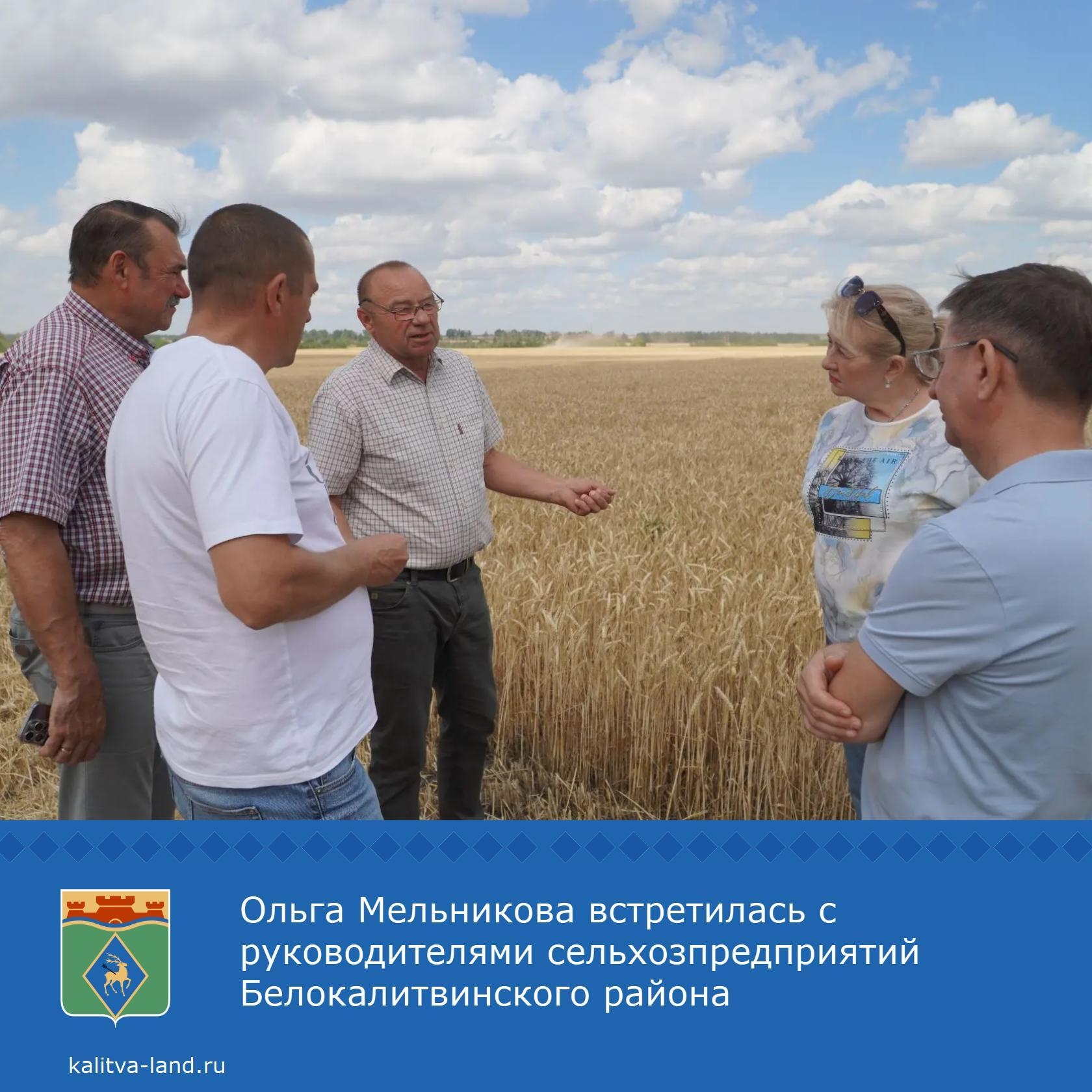  Глава администрации Белокалитвинского района Ольга Мельникова провела рабочую встречу с аграриями района с выездом в Богураевское и Синегорское сельс...