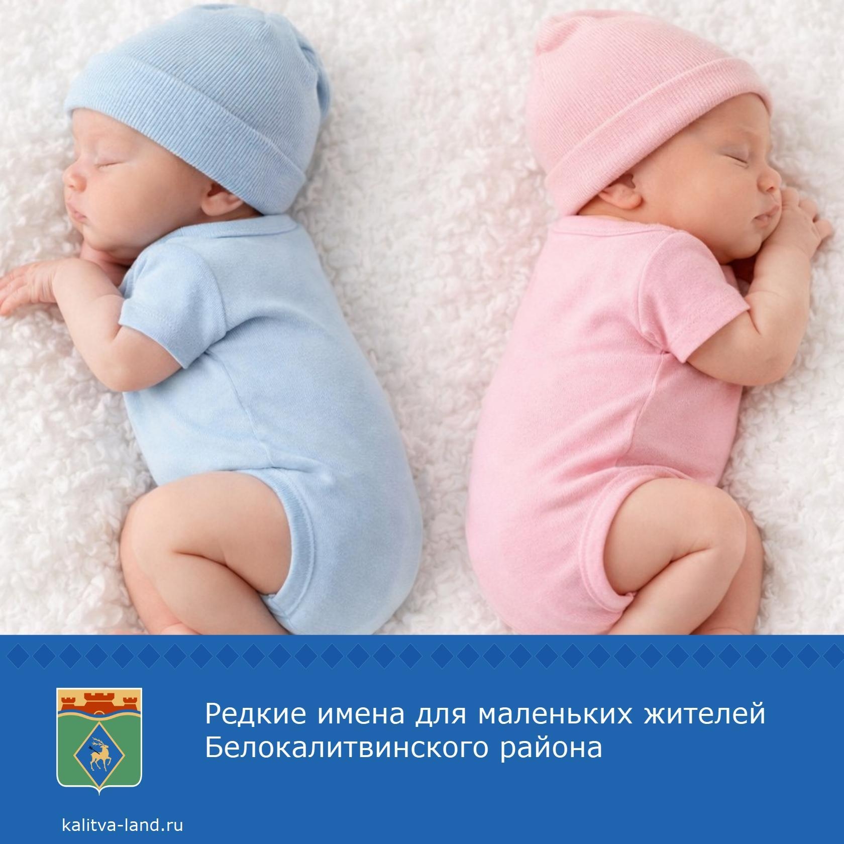 ✨ Сотрудники ЗАГСа Белокалитвинского района поделились самыми необычны...