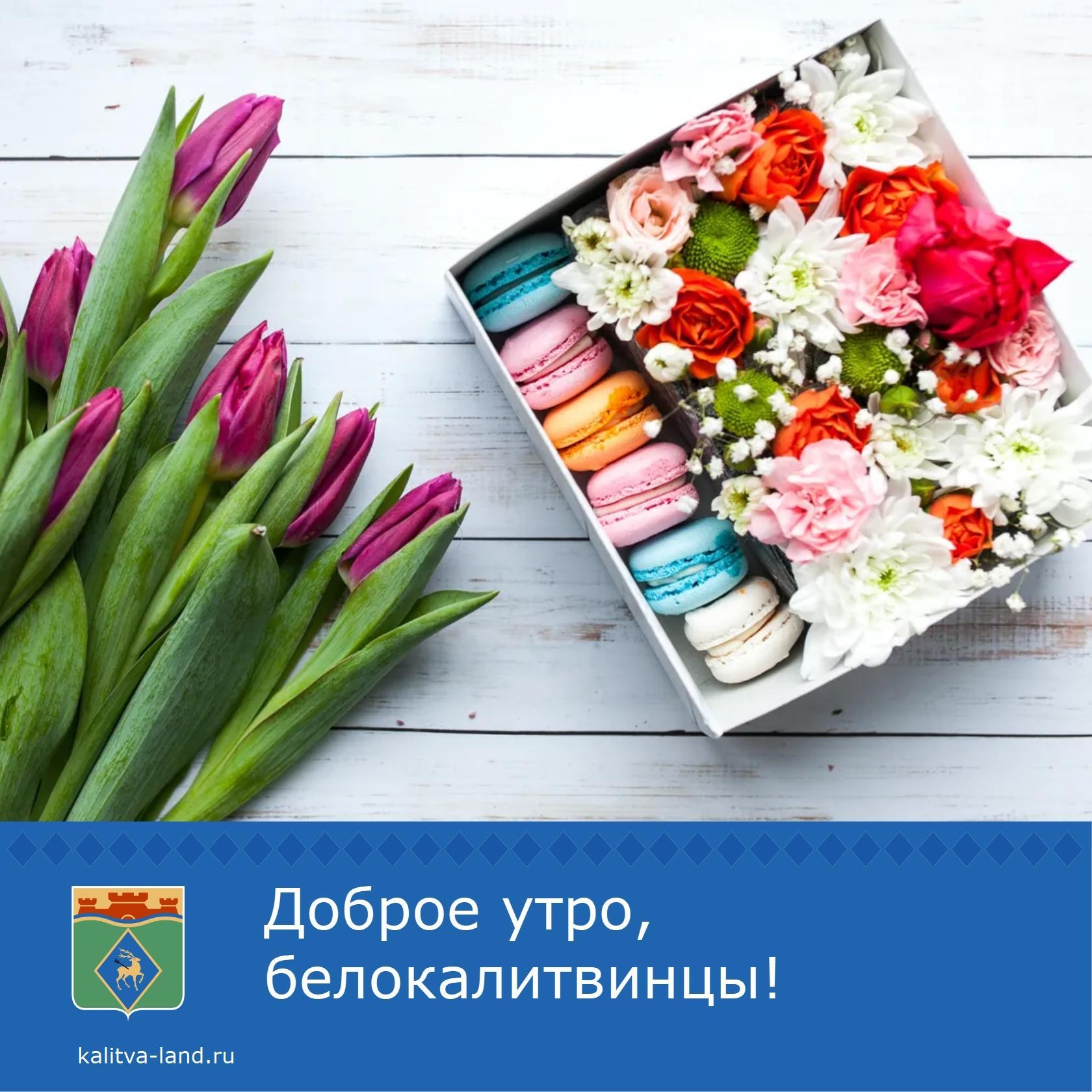 ☀️ Доброе утро, белокалитвинцы!