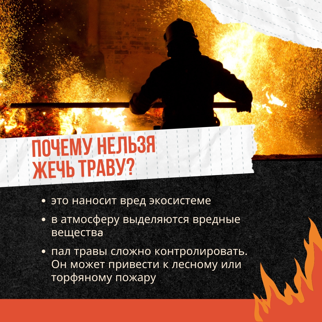 Трава – не дрова! 