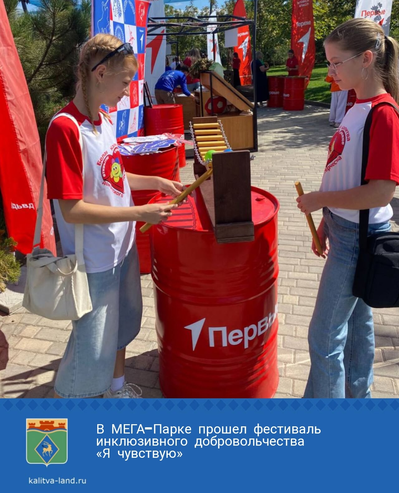 ✨ Делегация Белокалитвинского района приняла участие в фестивале добра...