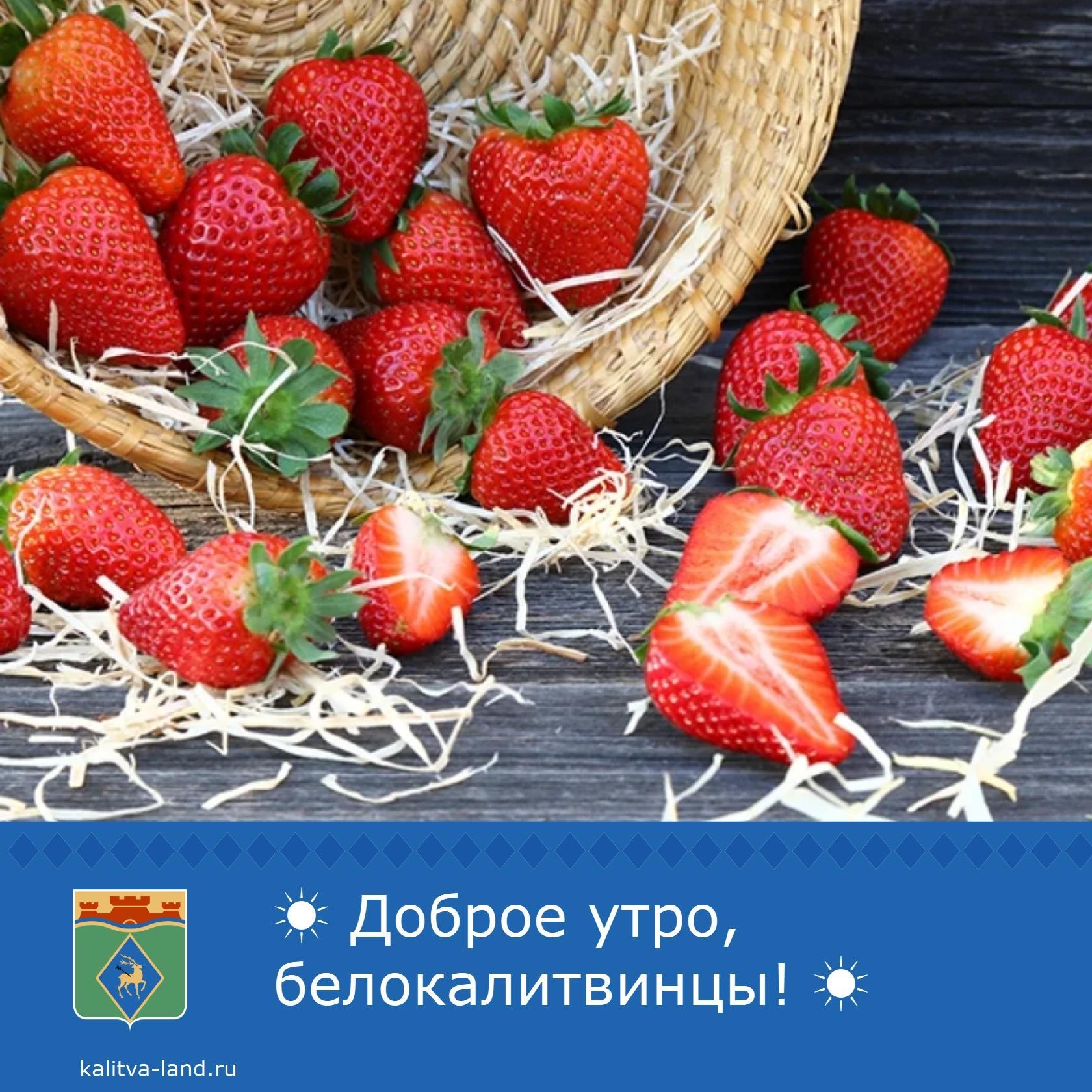 Доброе утро, белокалитвинцы! ☀️