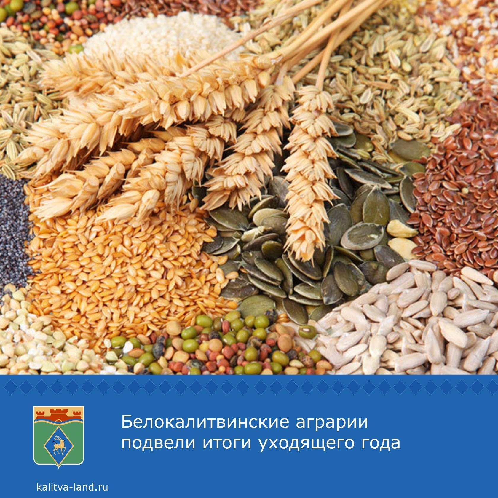  Несмотря на сложные погодные условия, аграрии Белокалитвинского район...