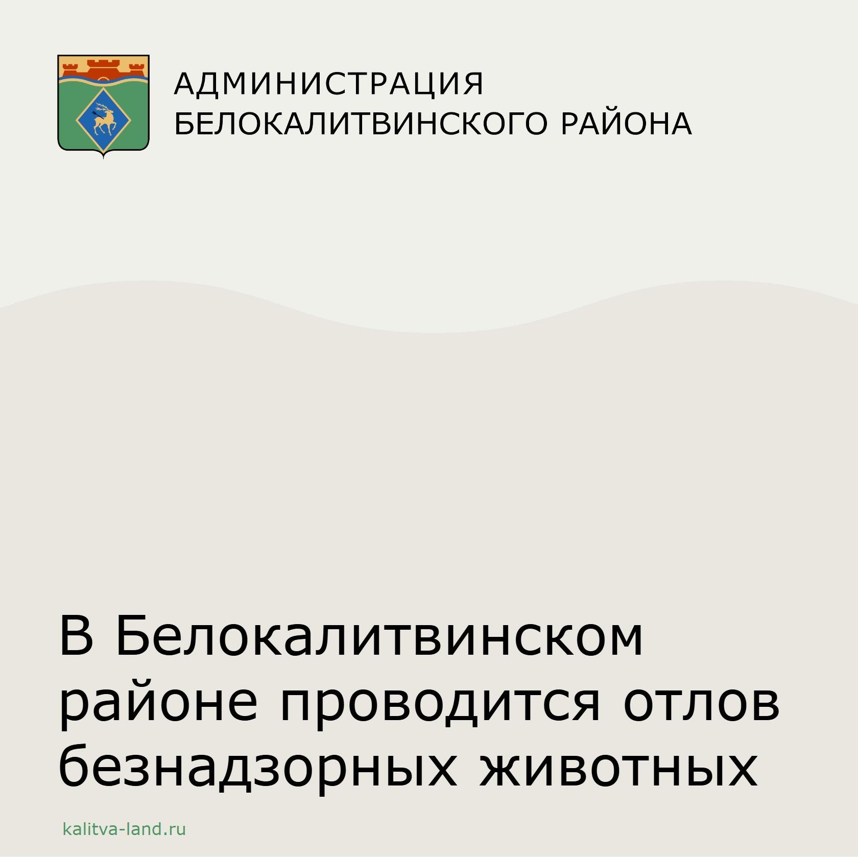 ❗️На сегодняшний день подрядной организацией отловлено 19 безнадзорных...