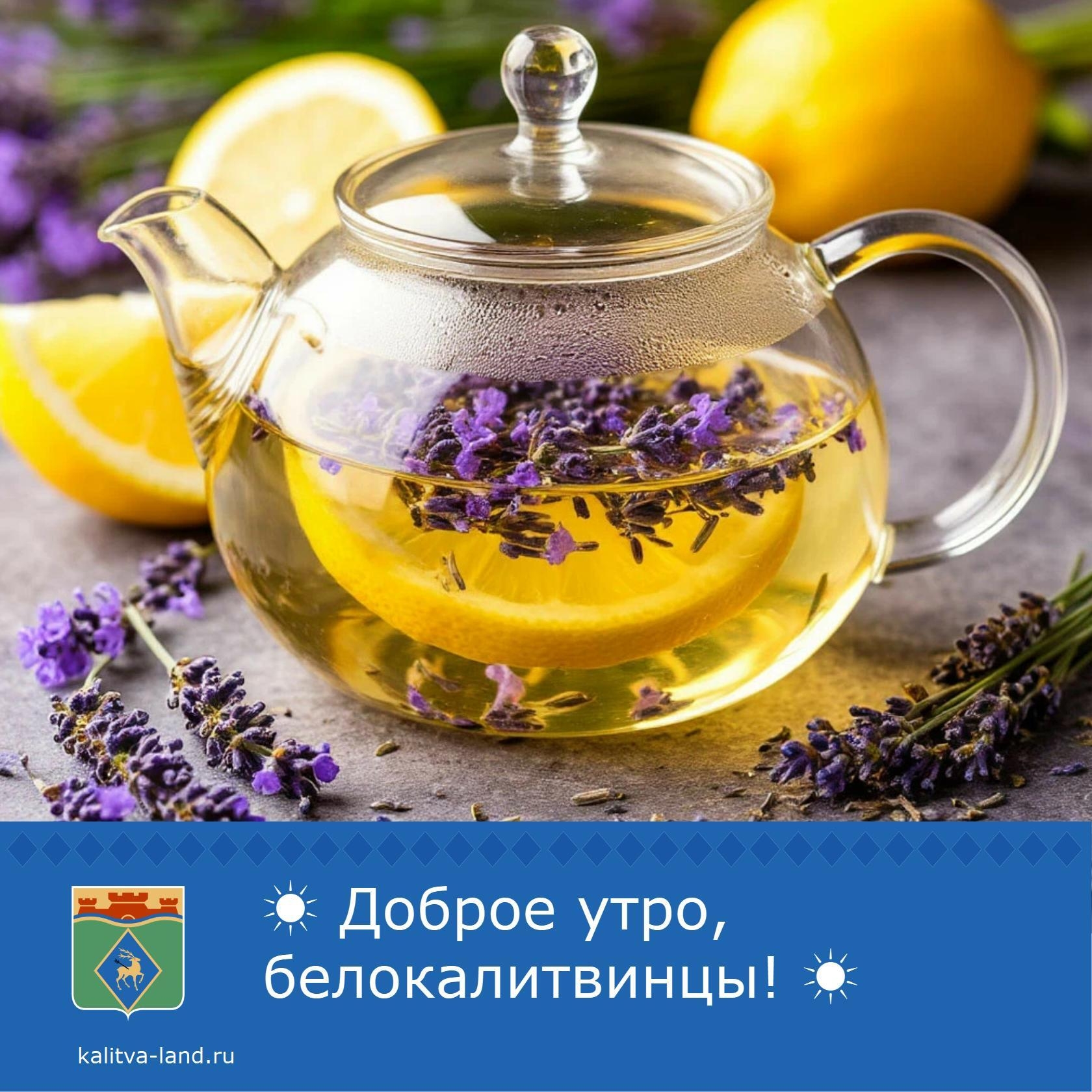  Доброе утро, белокалитвинцы!