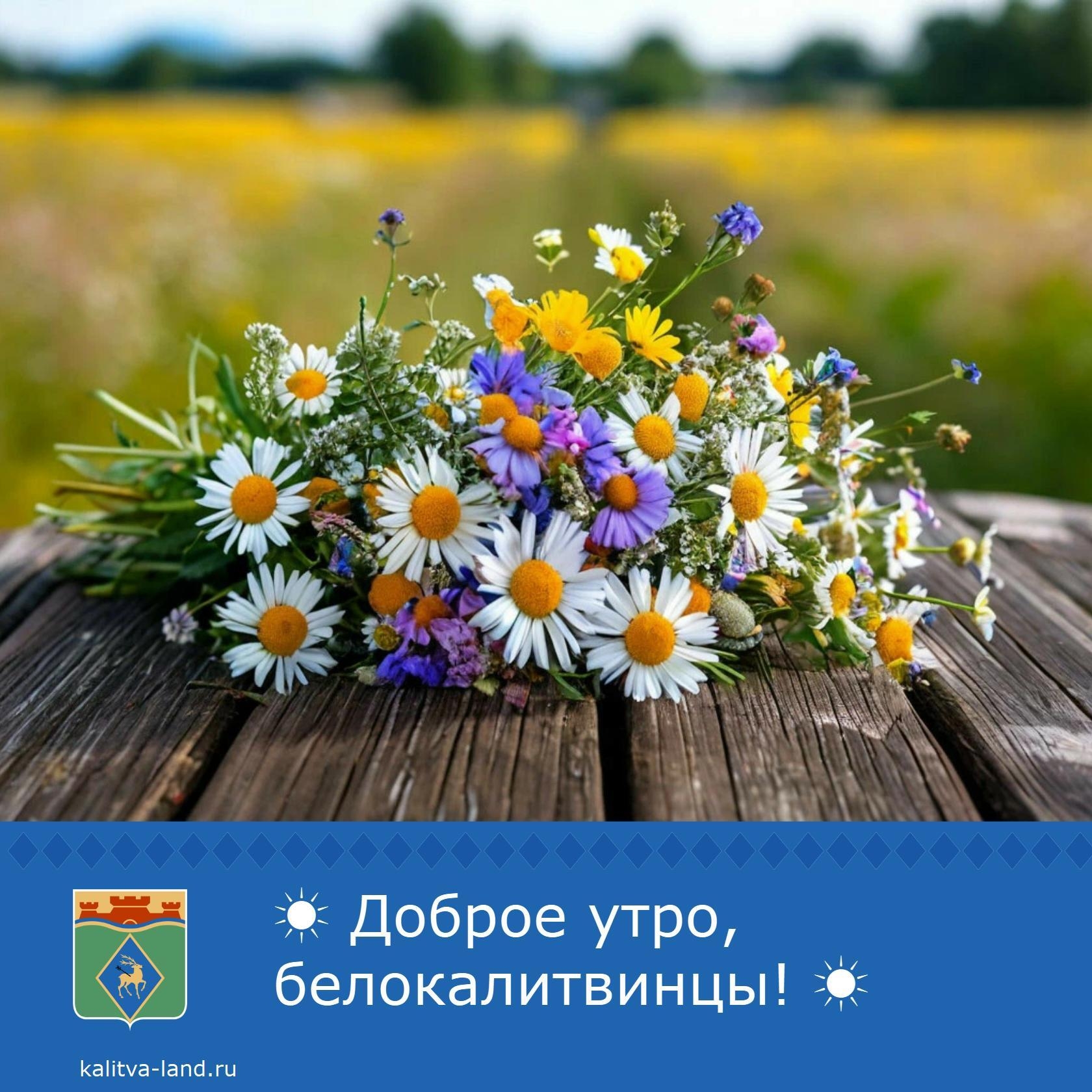 ✨ Доброе утро, белокалитвинцы!