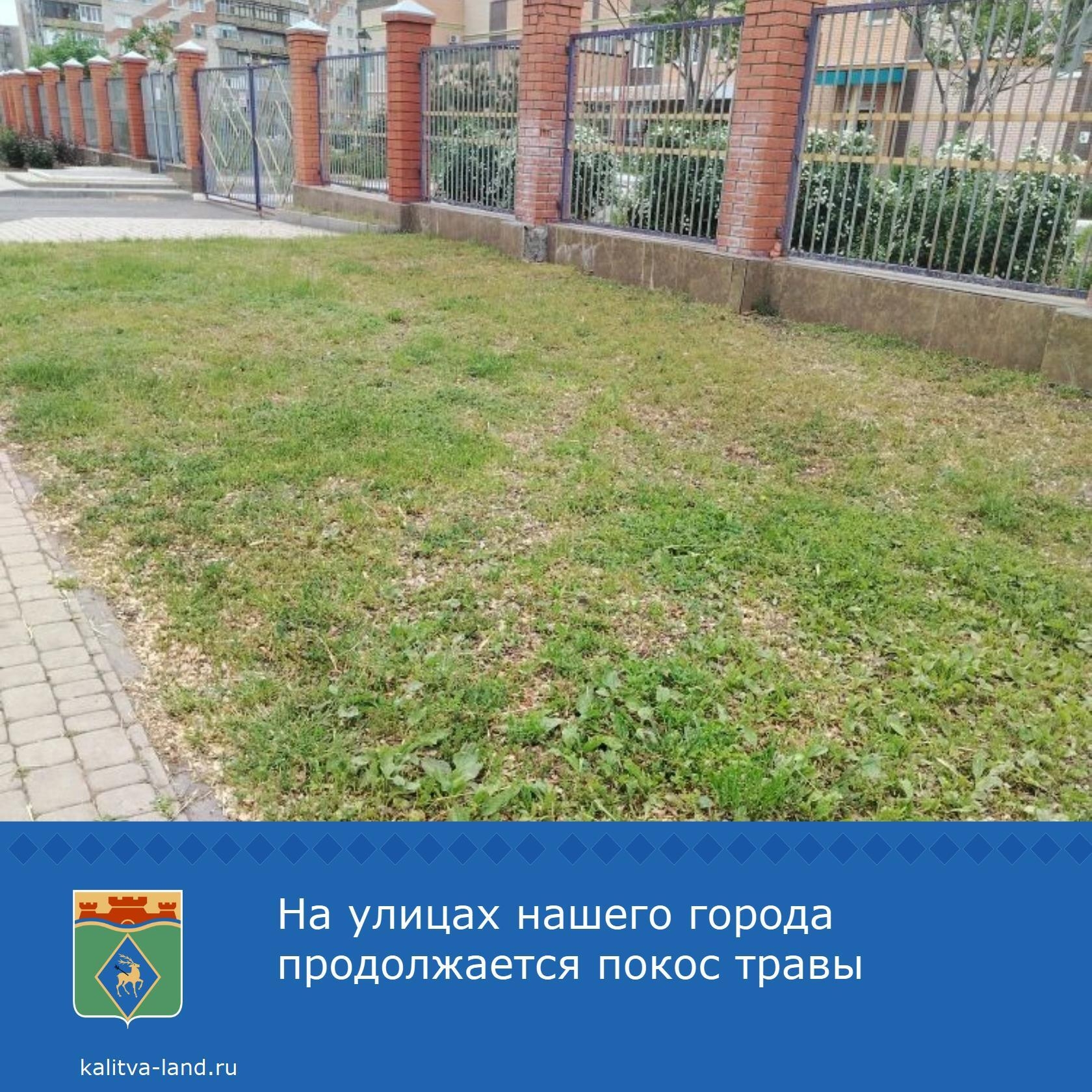  На территории города ведутся работы по покосу травы.