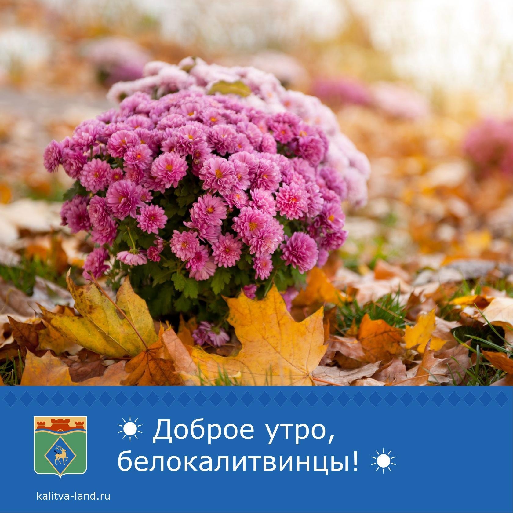 ☁️ Доброе утро, белокалитвинцы!