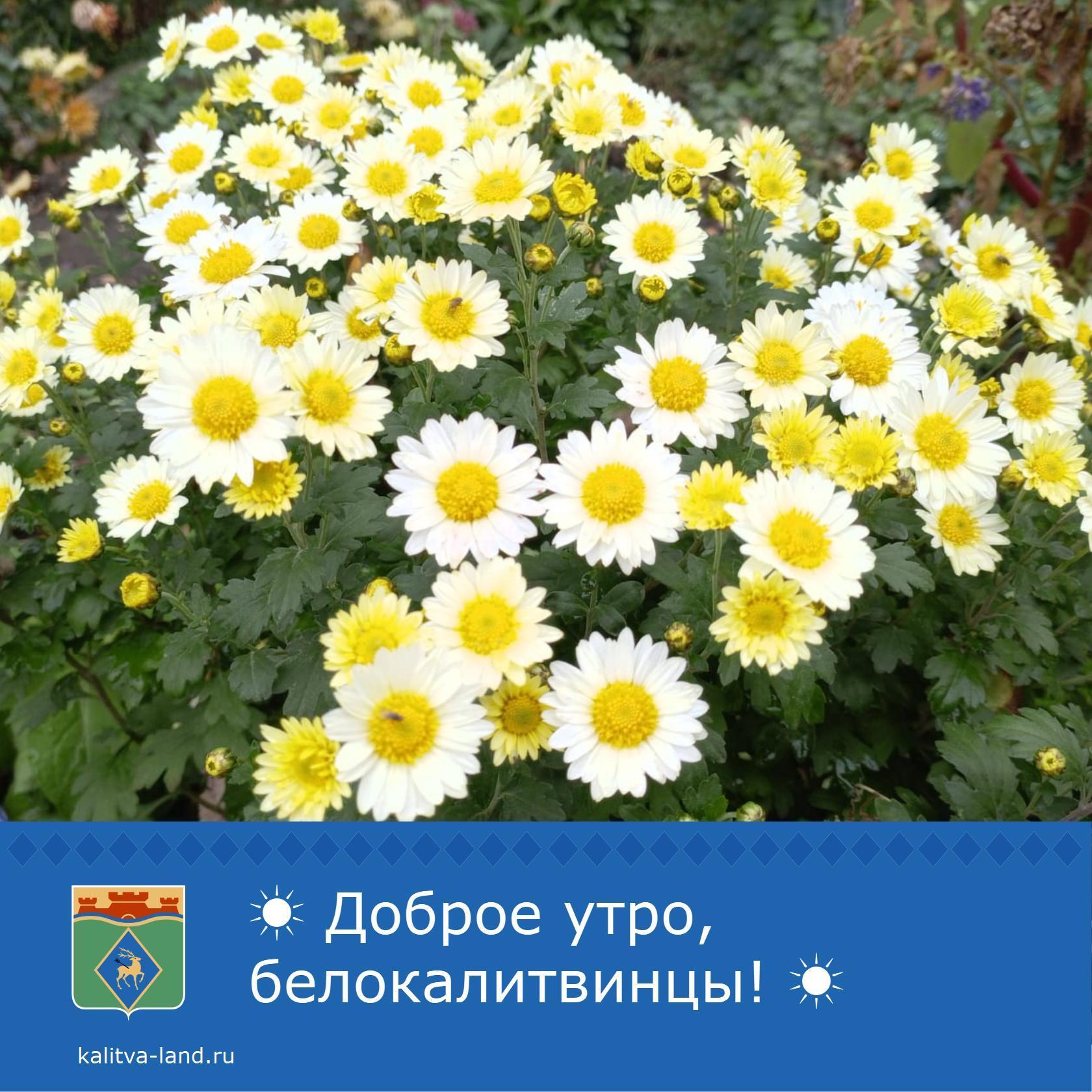 ☁️ Доброе утро, белокалитвинцы!
