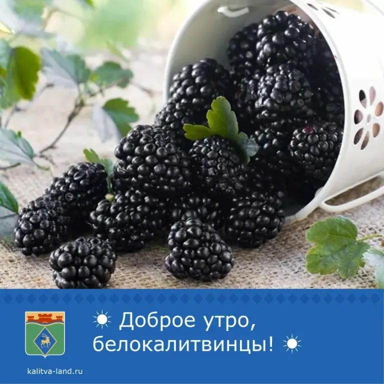 Доброе утро, белокалитвинцы! ☀