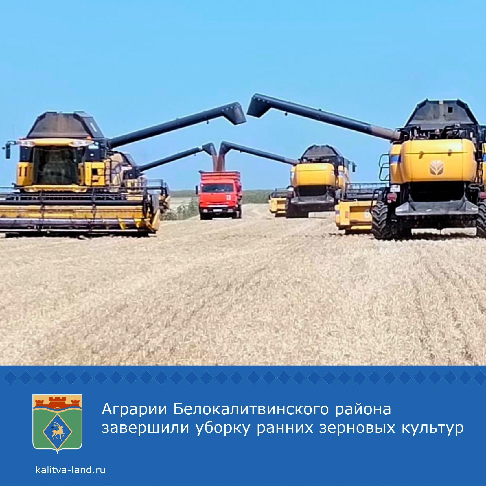  С площади 71 425 гектаров собрано более 144 тысяч тонн зерна.