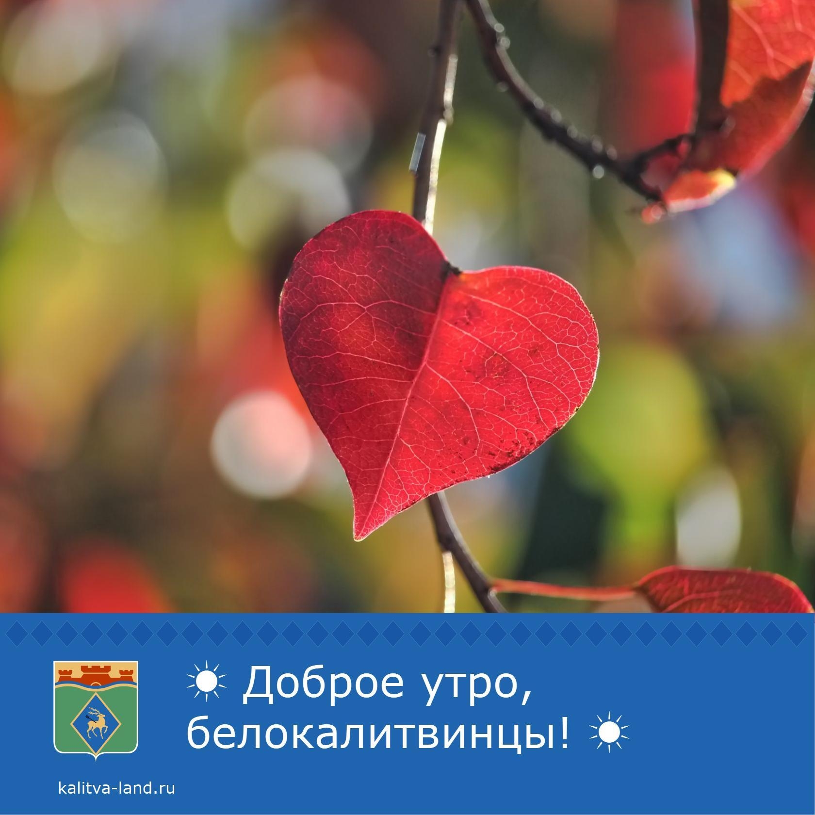 ☁️ Доброе утро, белокалитвинцы!