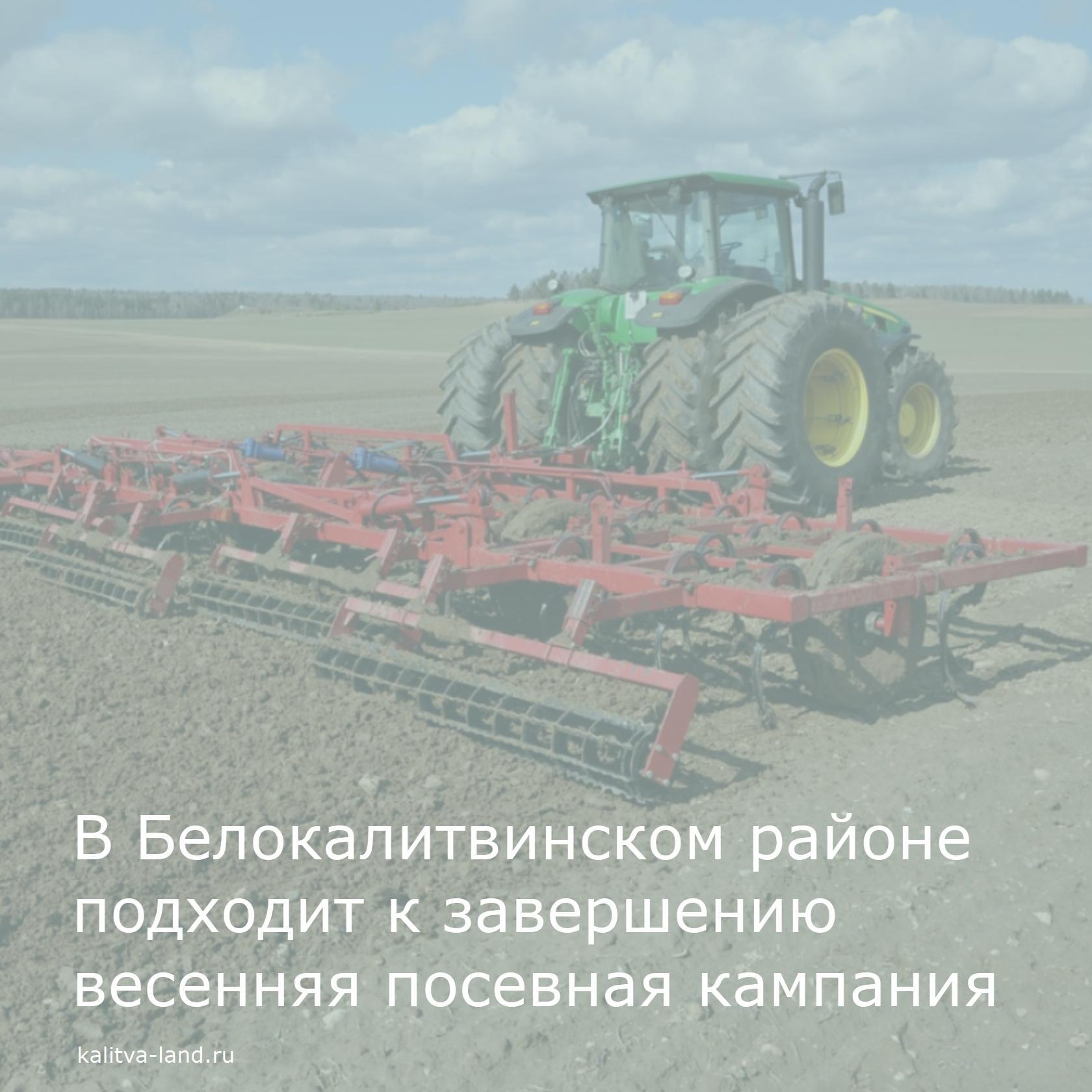  В этом году под яровые культуры засеяно почти 55 тысяч гектаров.