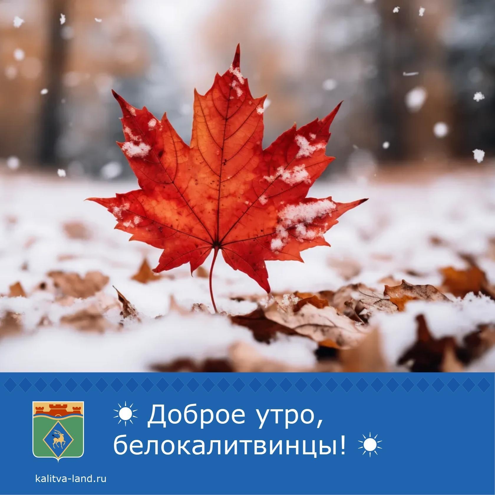 ☀️ Доброе утро, белокалитвинцы!