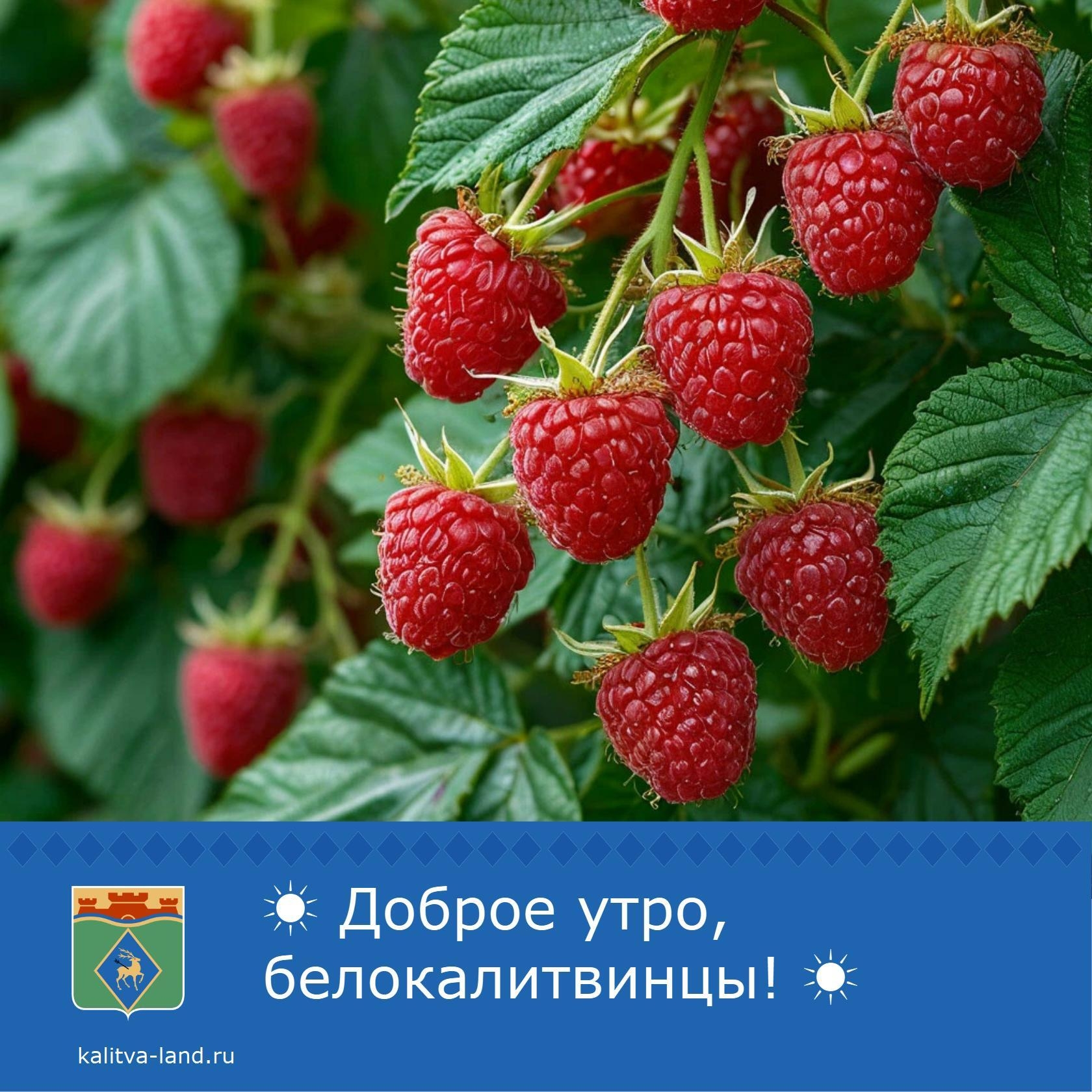 ☀ Доброе утро, белокалитвинцы!