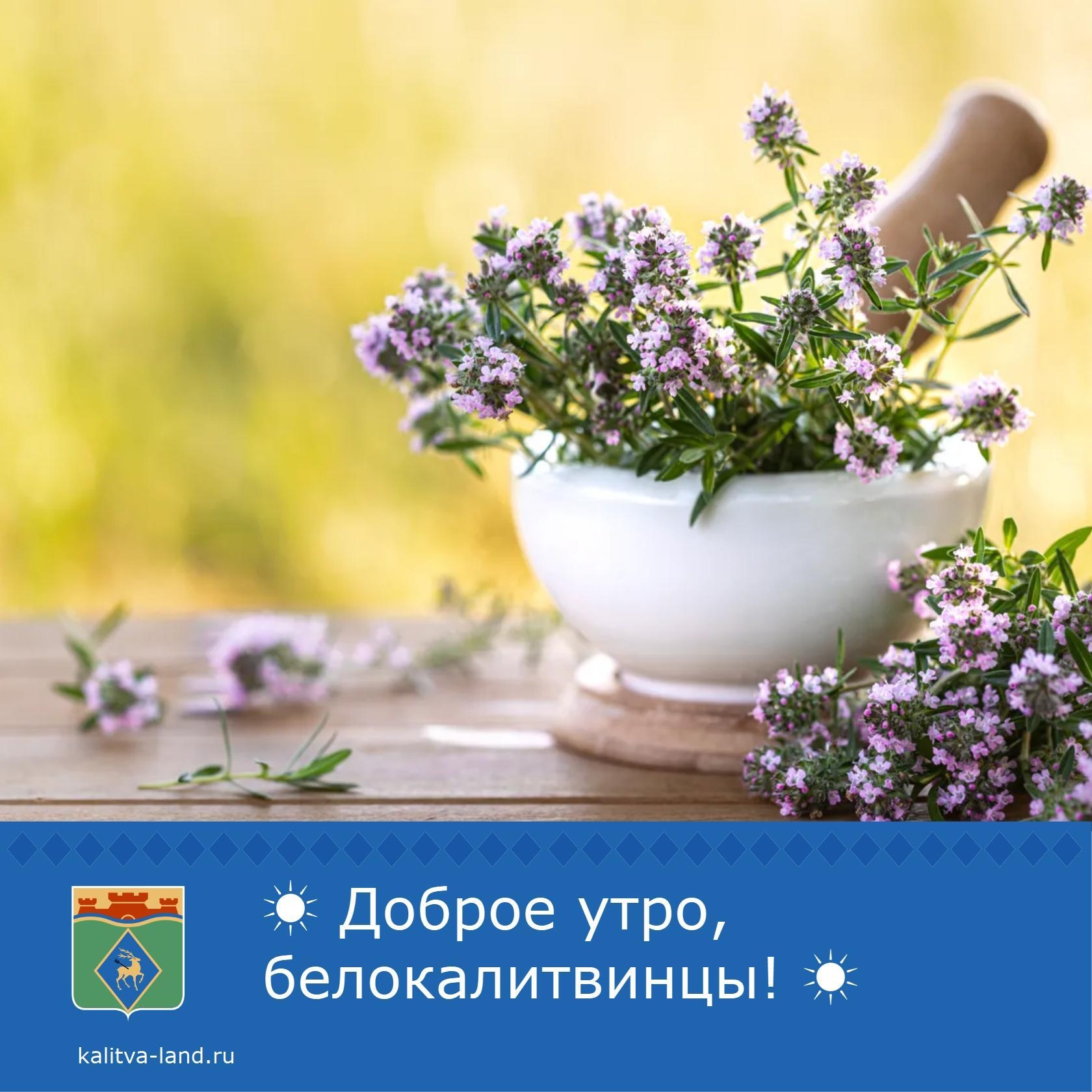 Уважаемые белокалитвинцы!️