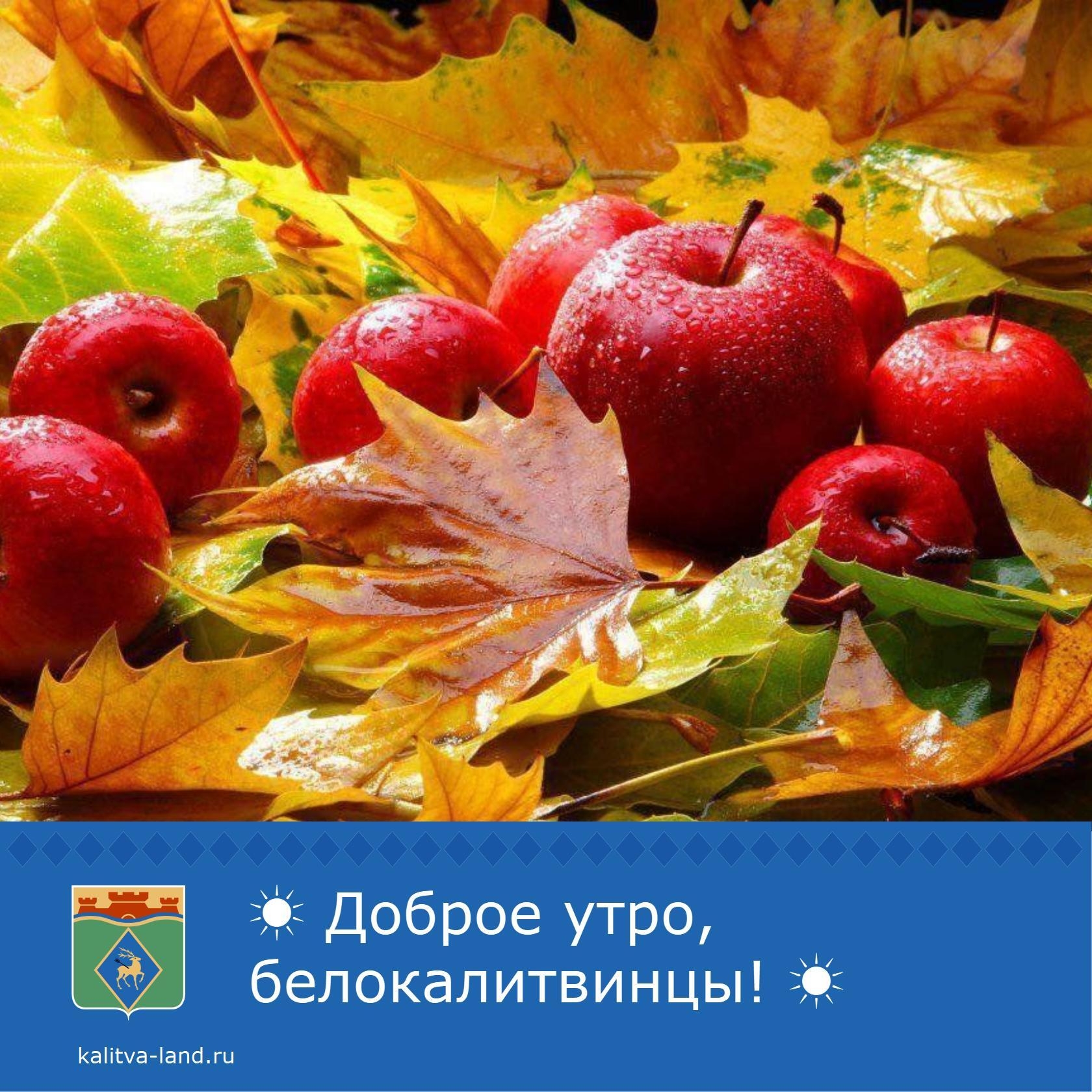☁️ Доброе утро, белокалитвинцы!