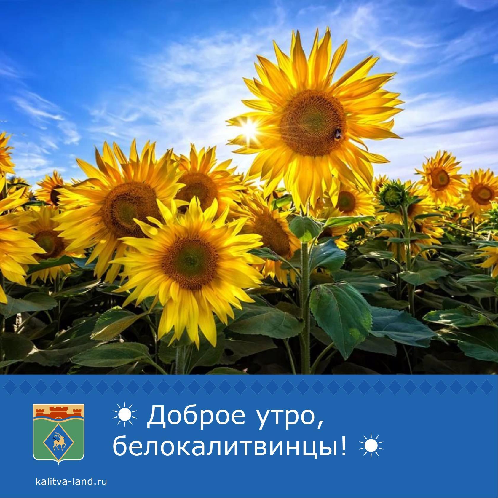  Доброе утро, белокалитвинцы!