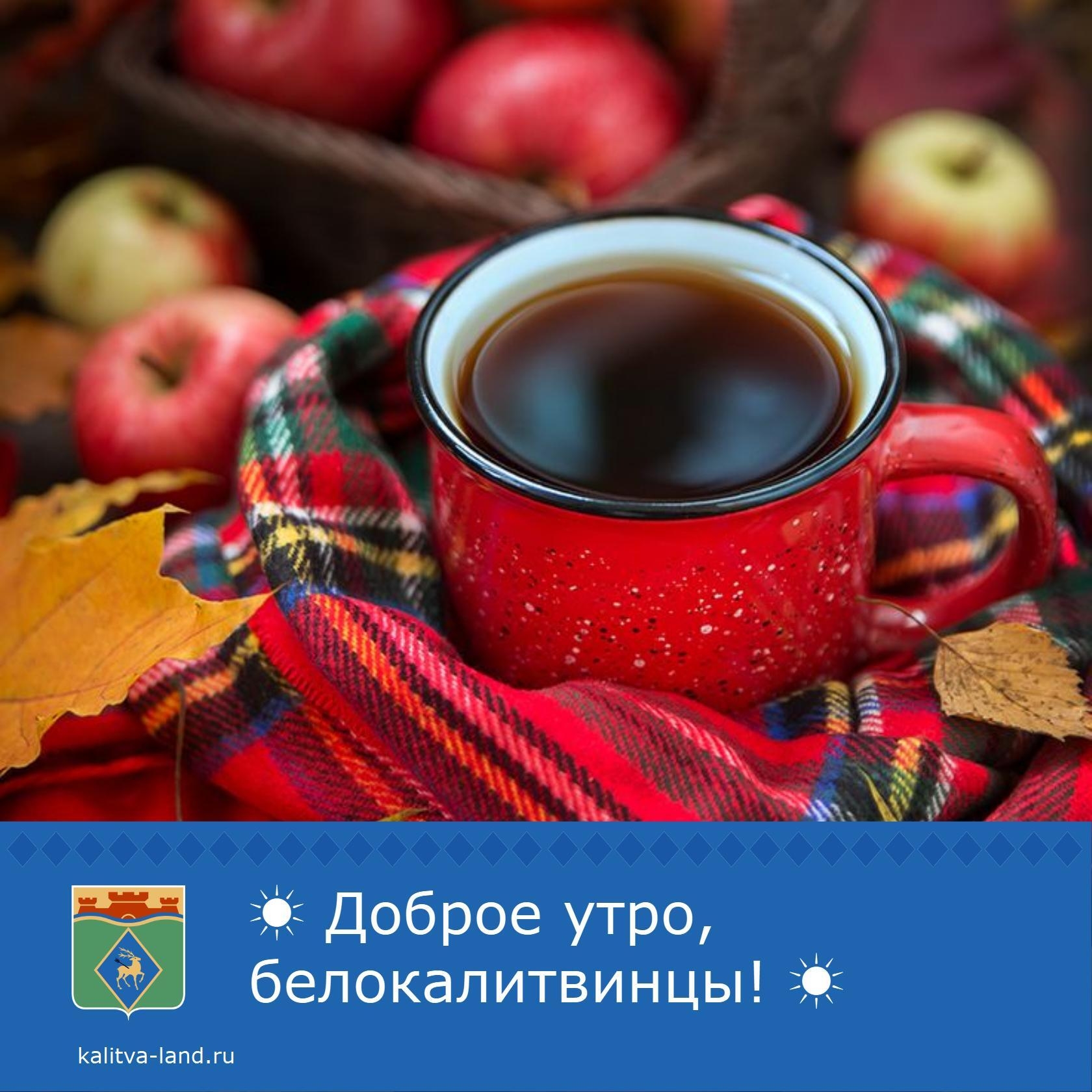 ☁️ Доброе утро, белокалитвинцы!