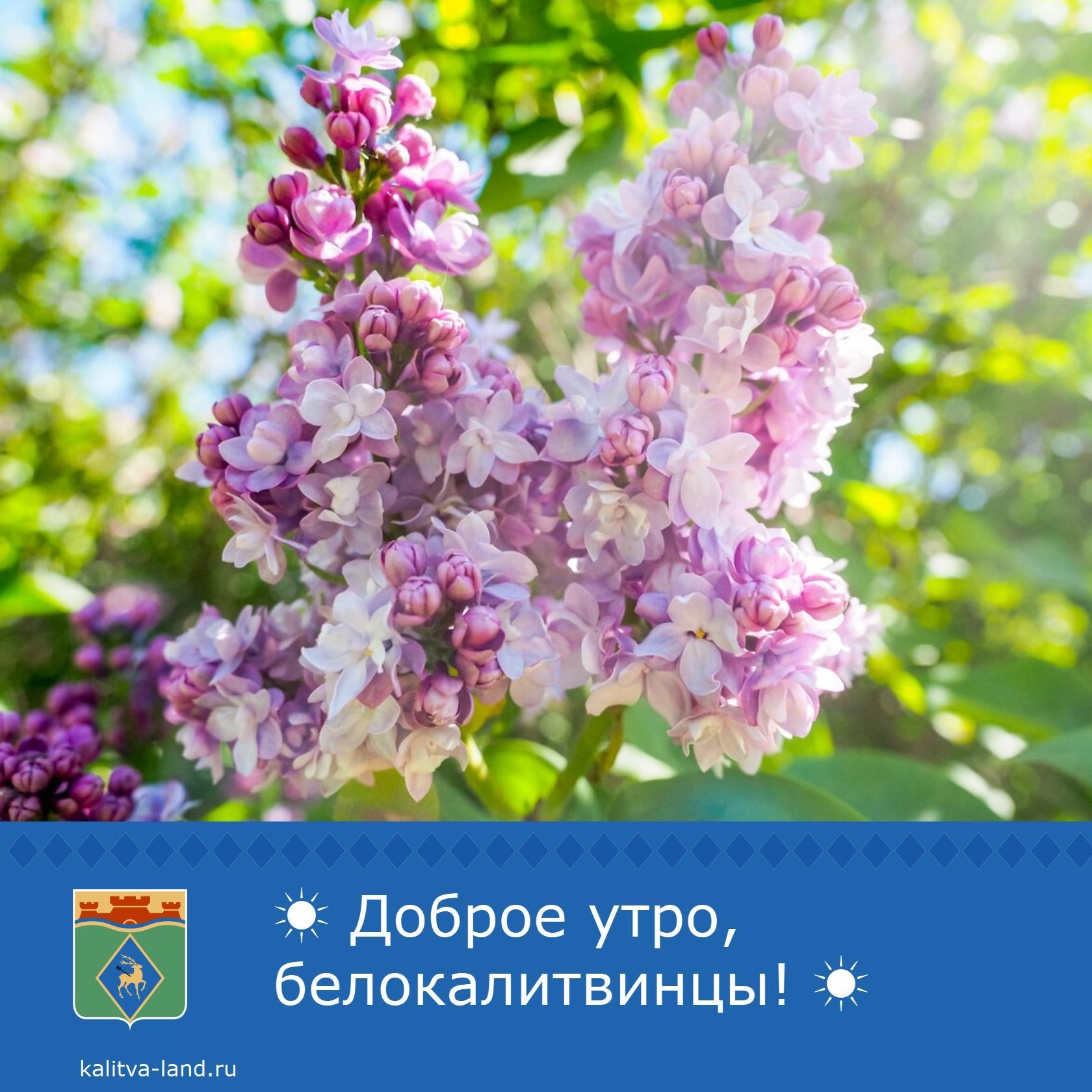  Доброе утро, белокалитвинцы!